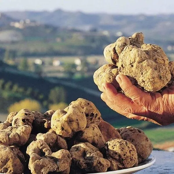 Chiostro Delle Monache Hostel Volterra