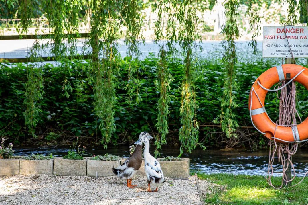 Garden in The Bathurst Arms