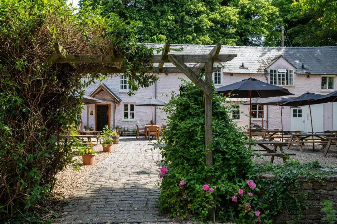 Garden in The Bathurst Arms