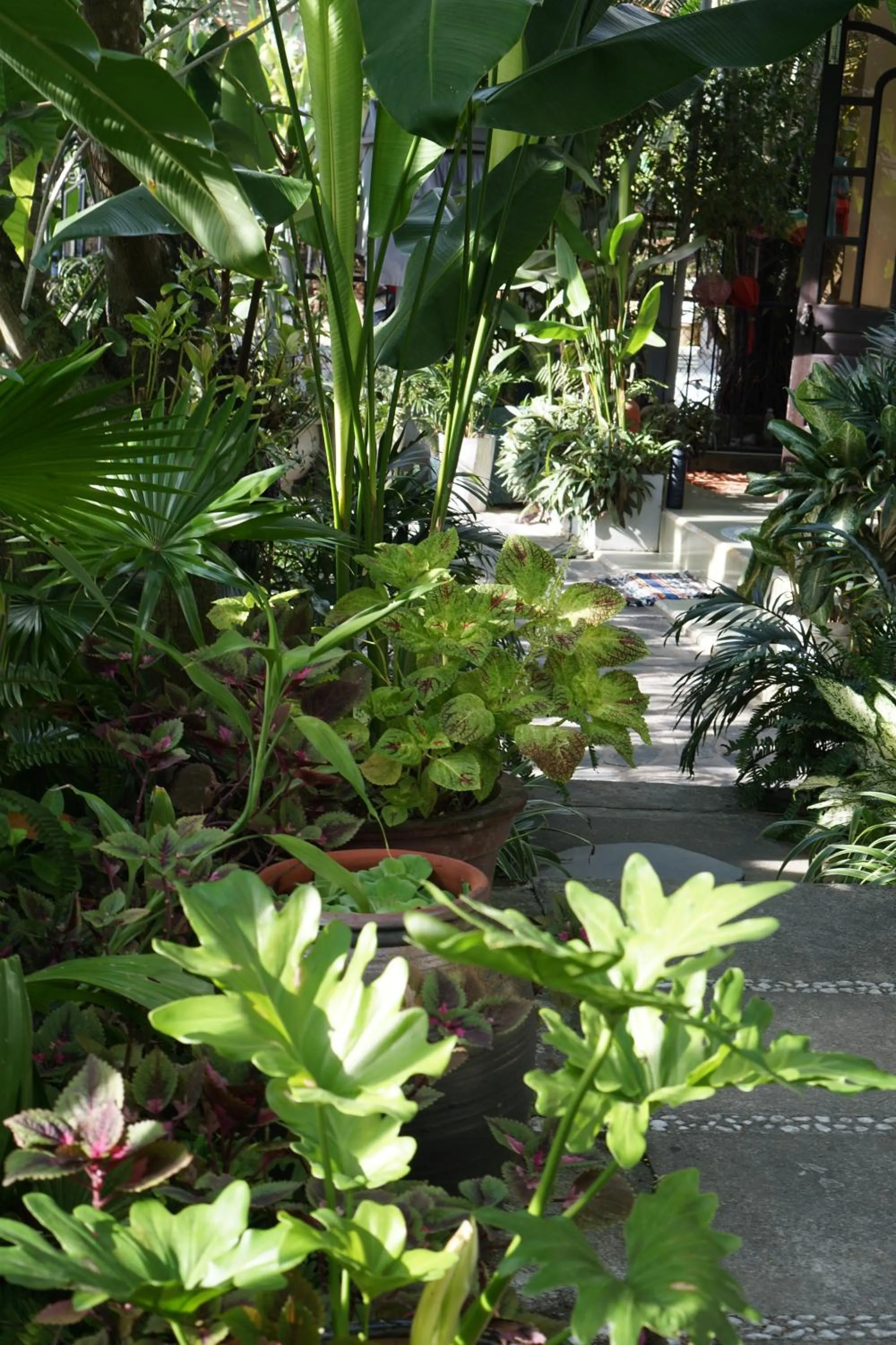 Sunny Garden Homestay