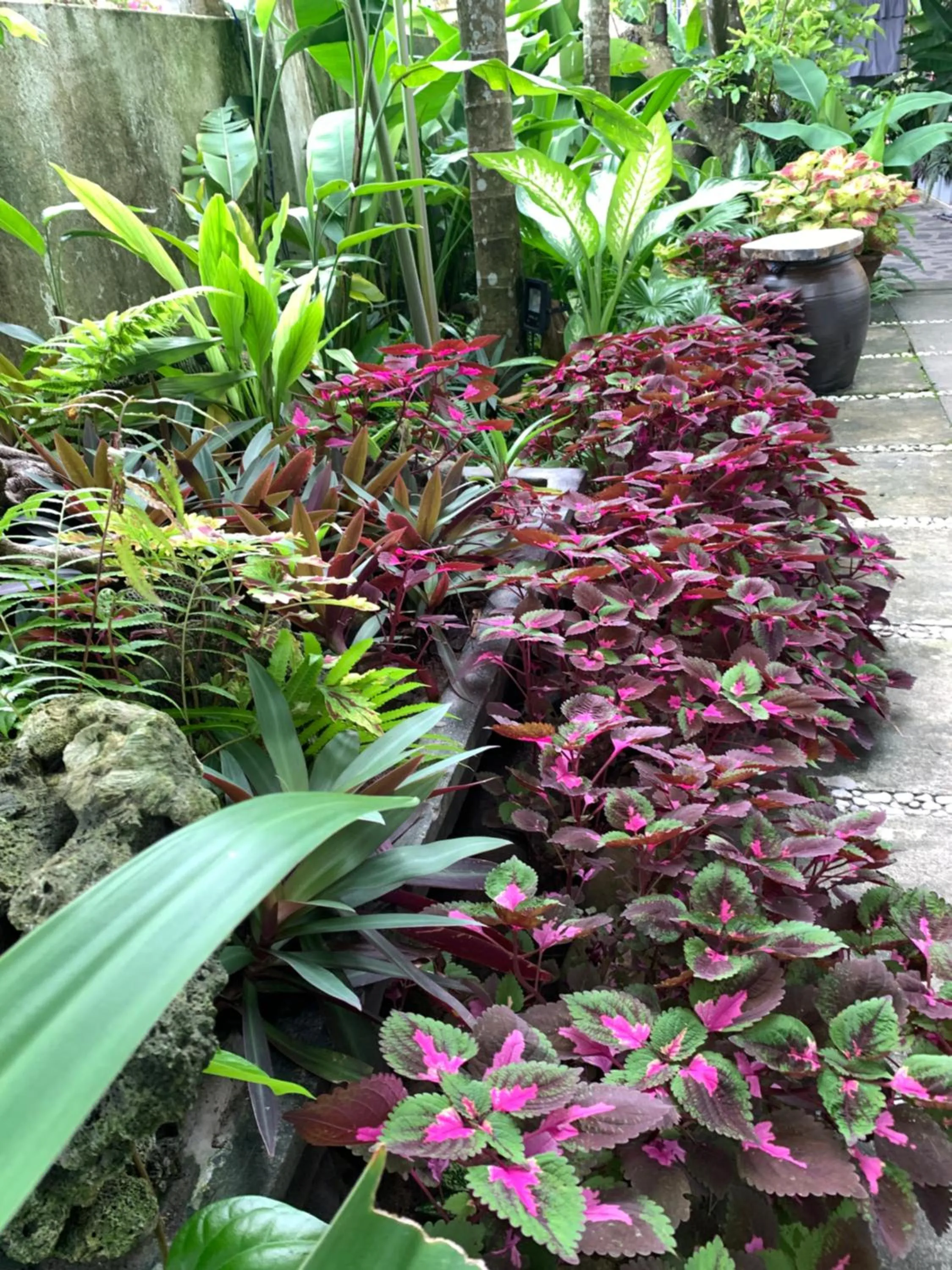 Garden in Sunny Garden Homestay