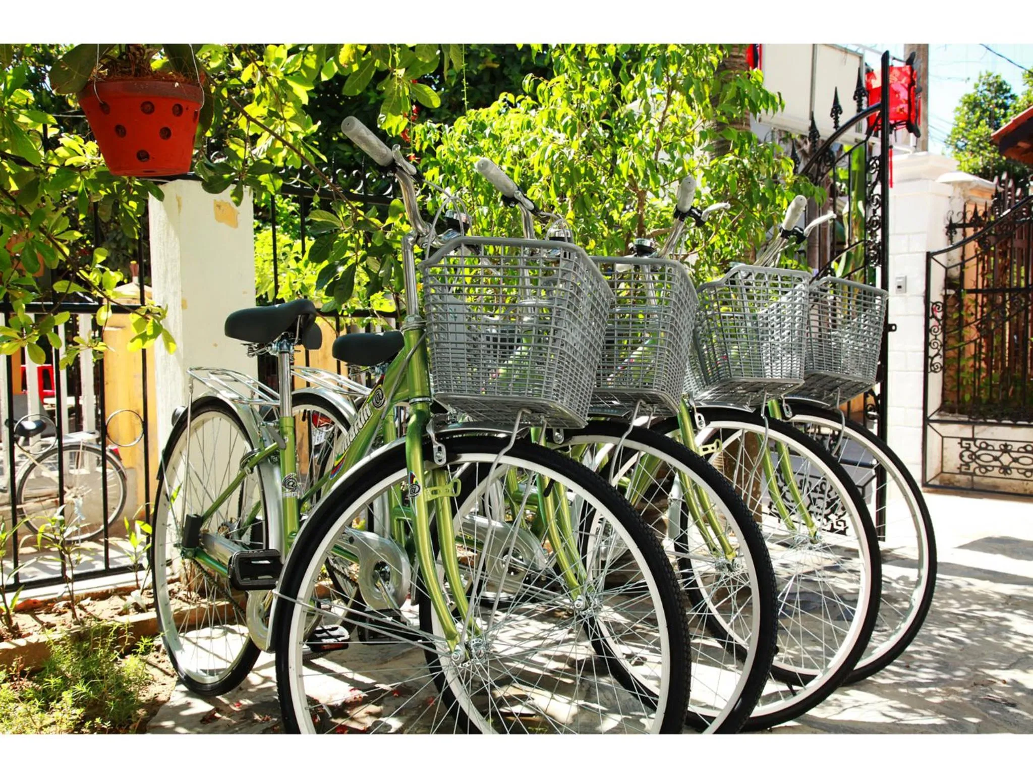 Cycling in Sunny Garden Homestay