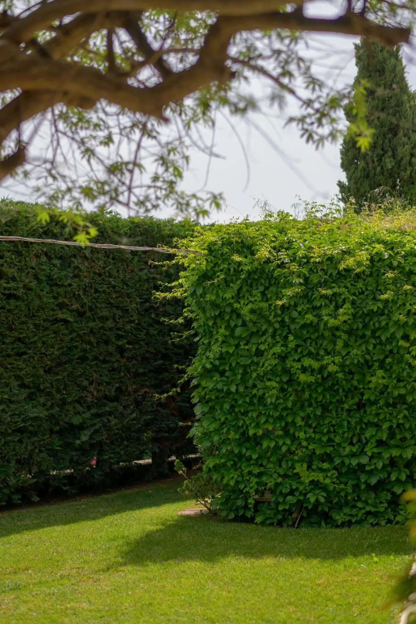 Oikies Small Elegant Houses