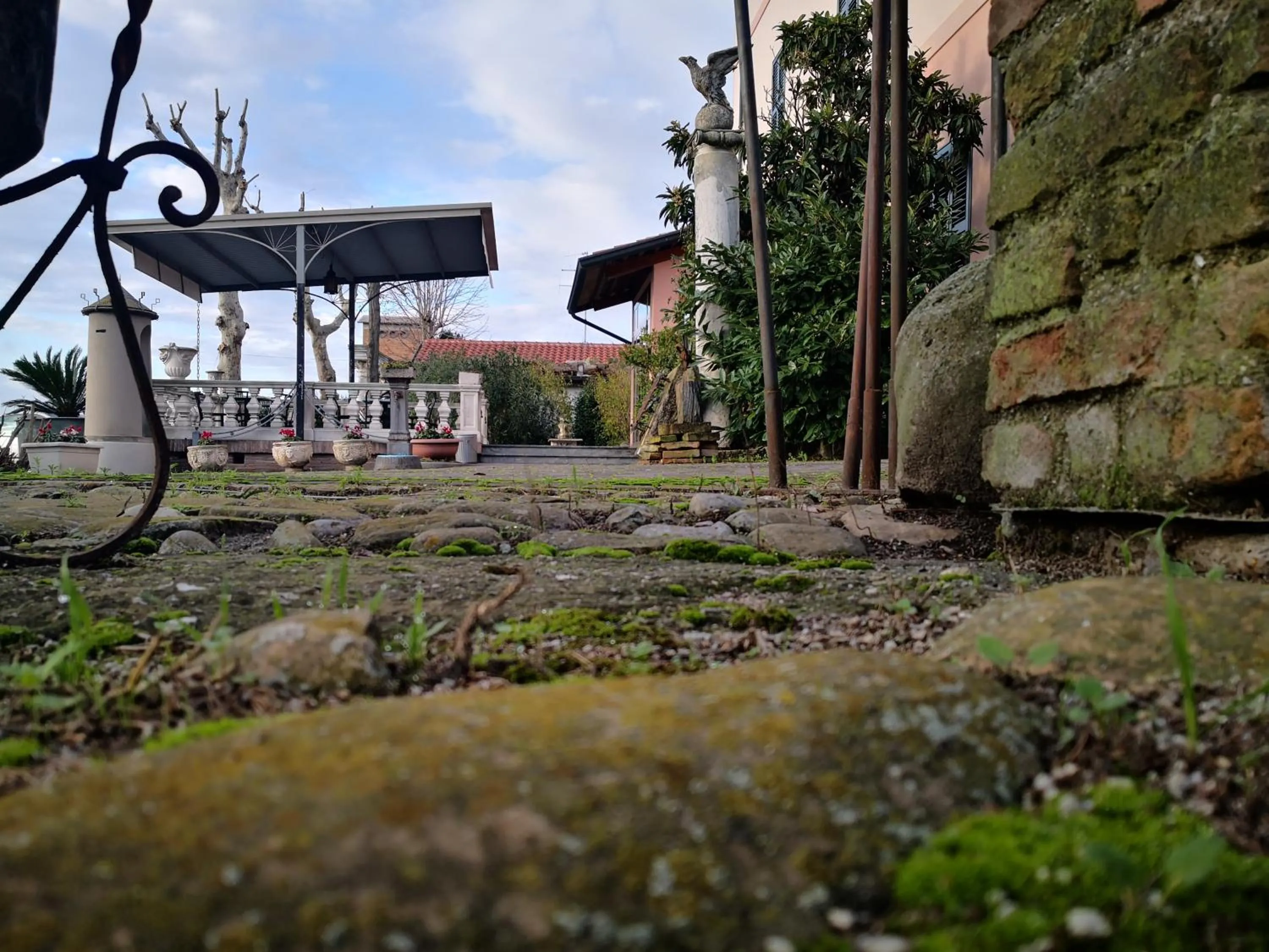 Garden in Hotel Ficocle