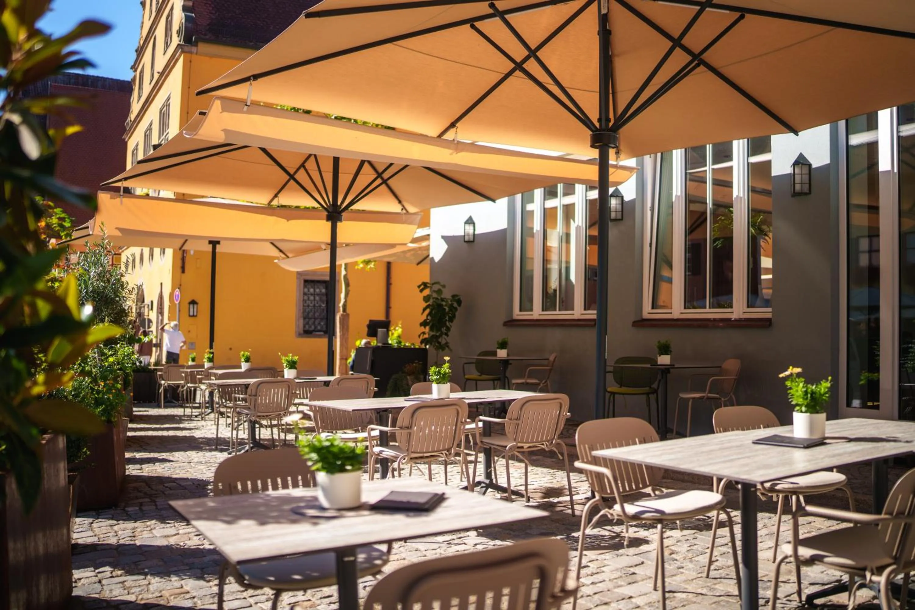 Garden in Hotel Deutsches Haus