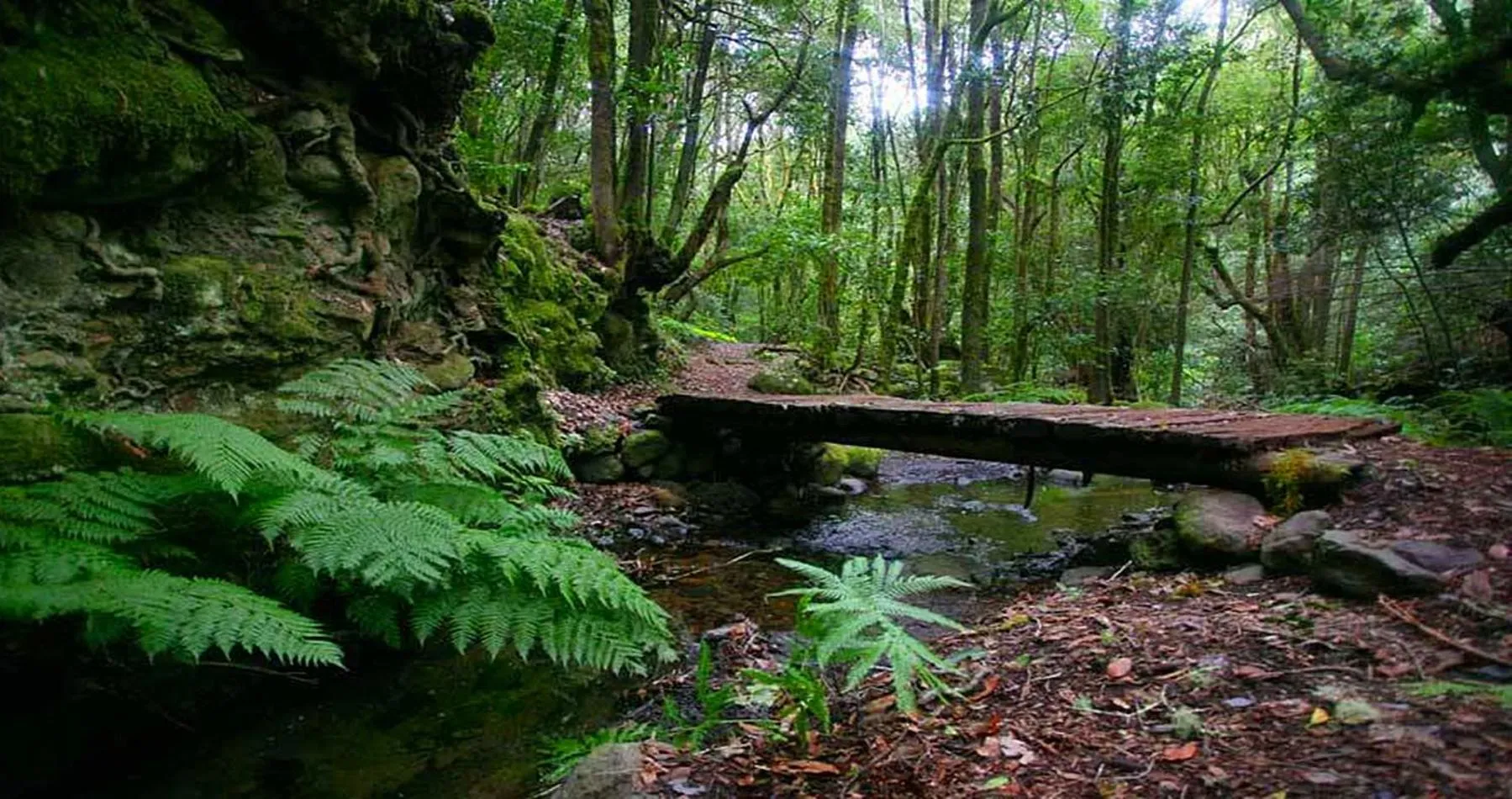 Natural landscape in Hotel Rural Triana