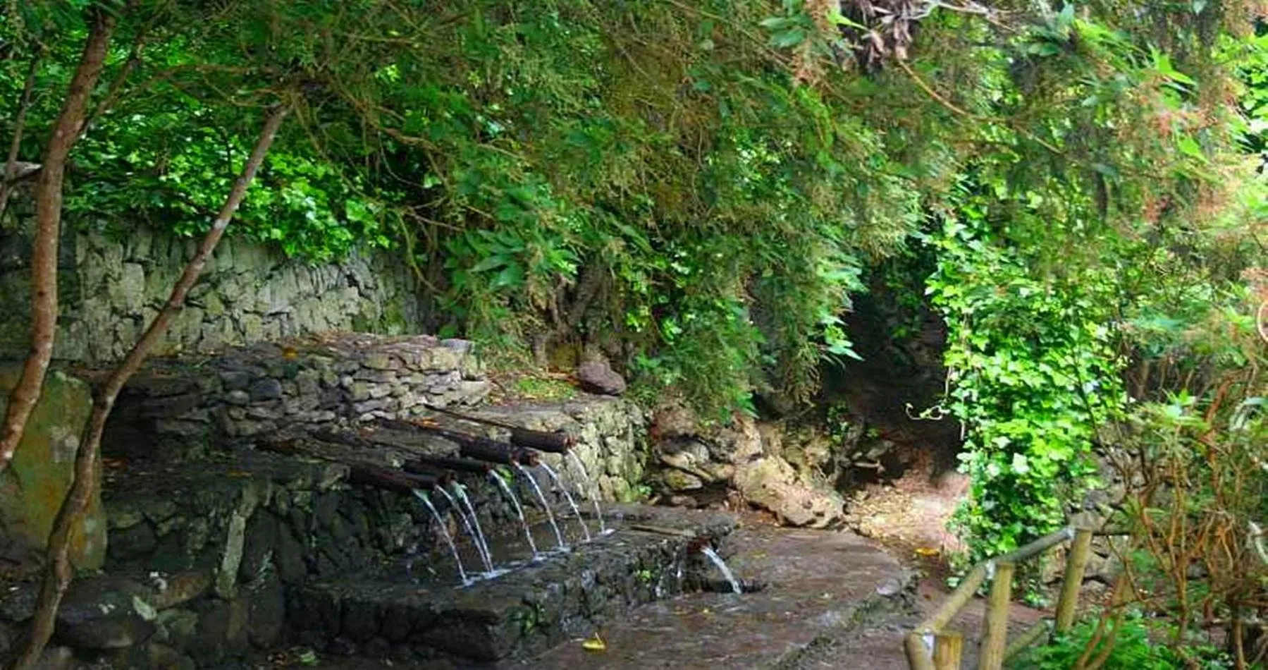 Natural landscape in Hotel Rural Triana