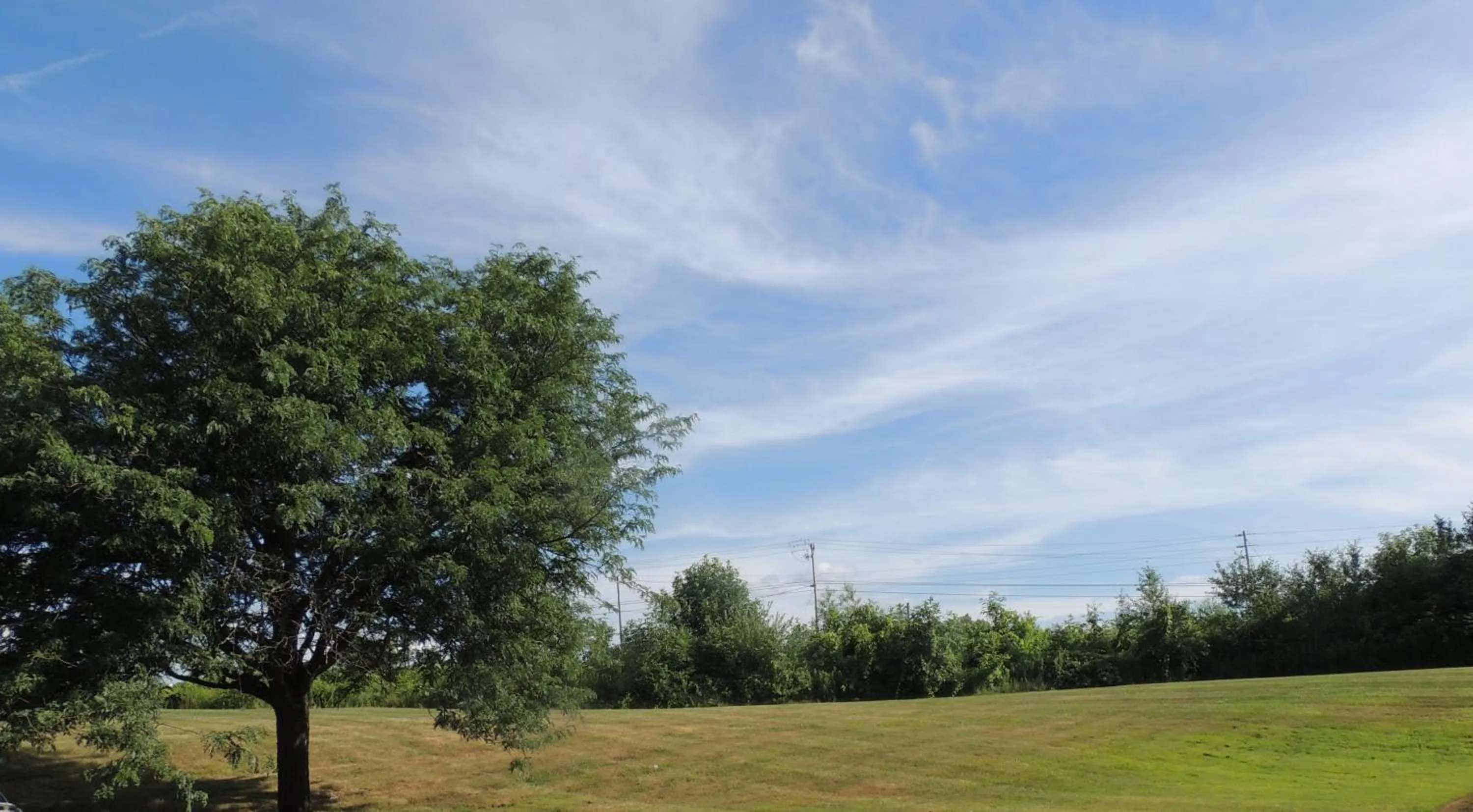 View (from property/room) in Quality Inn & Suites Syracuse Fairgrounds