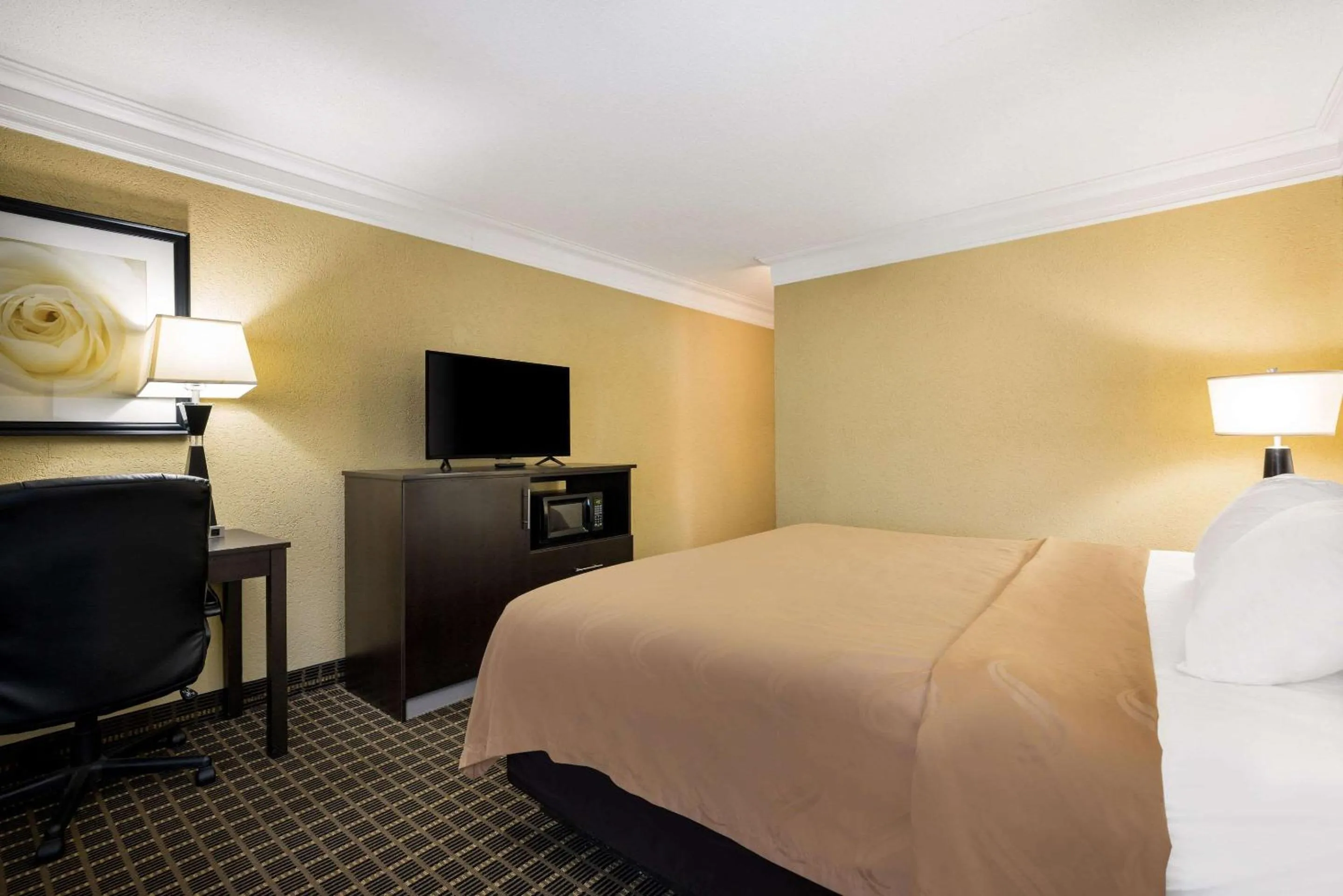 Bedroom, Bed in Quality Inn & Suites Syracuse Fairgrounds