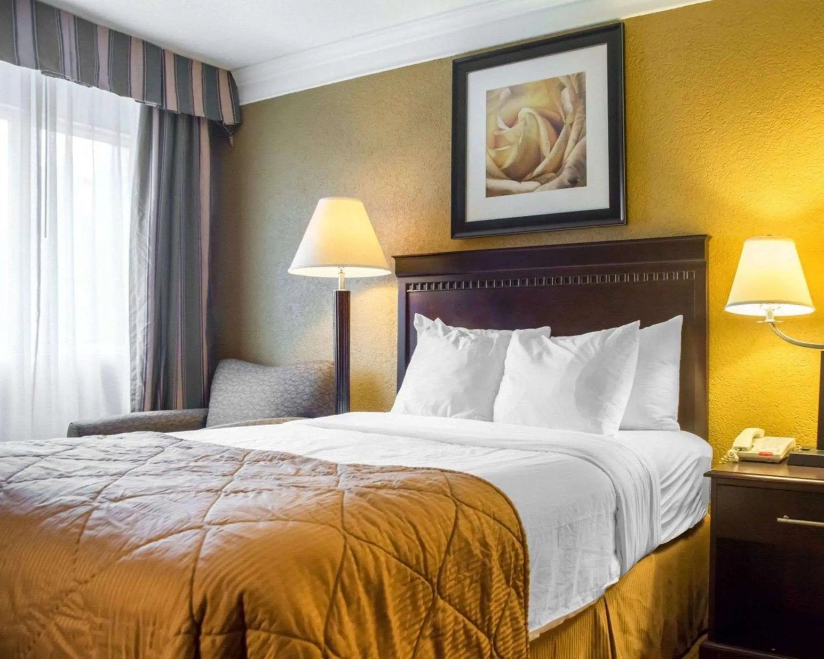 Double Room with Two Double Beds - Non-Smoking in Quality Inn & Suites Syracuse Fairgrounds Double Room with Two Double Beds - Non-Smoking in Quality Inn & Suites Syracuse Fairgrounds
