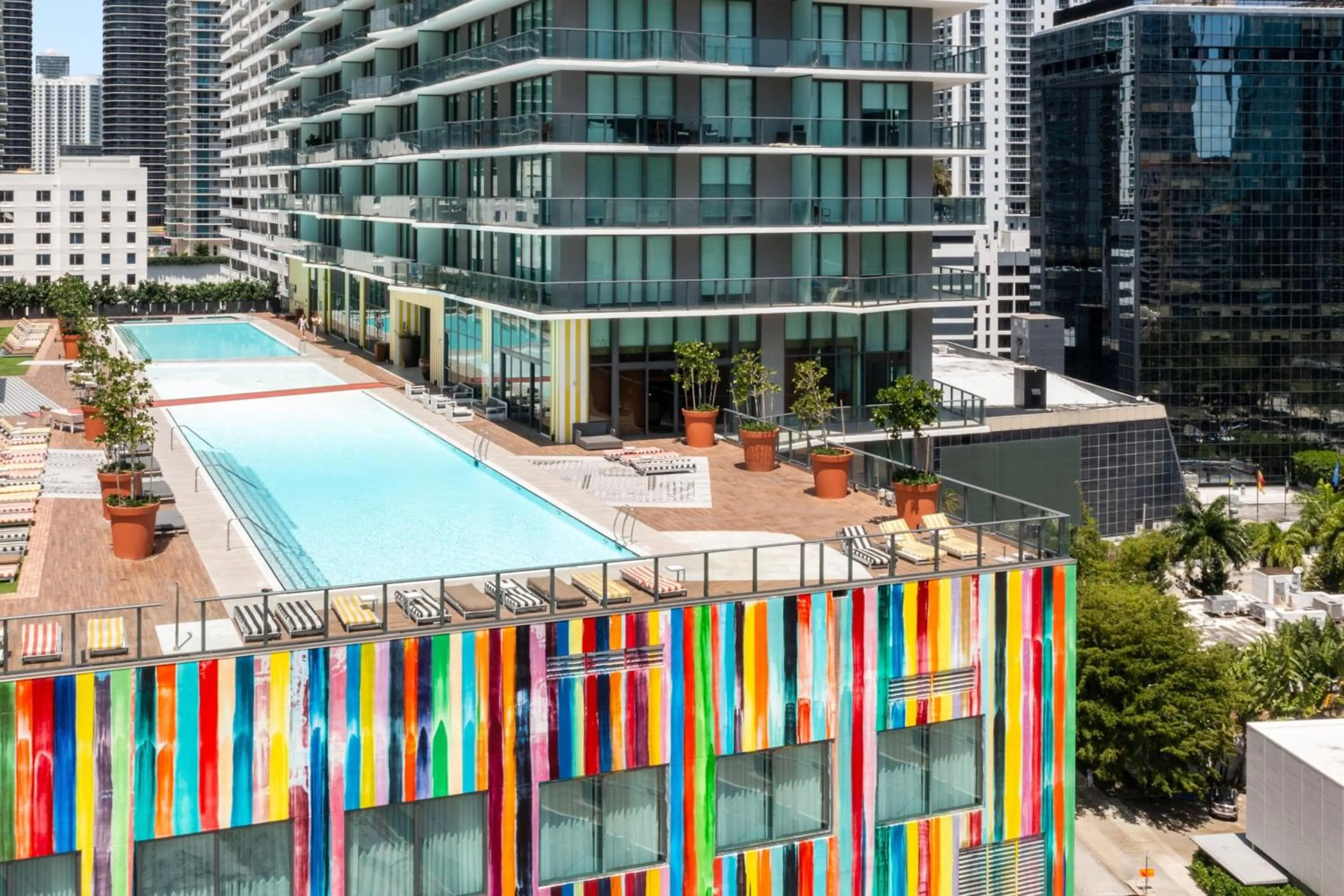 Swimming pool in Dua Miami, Autograph Collection