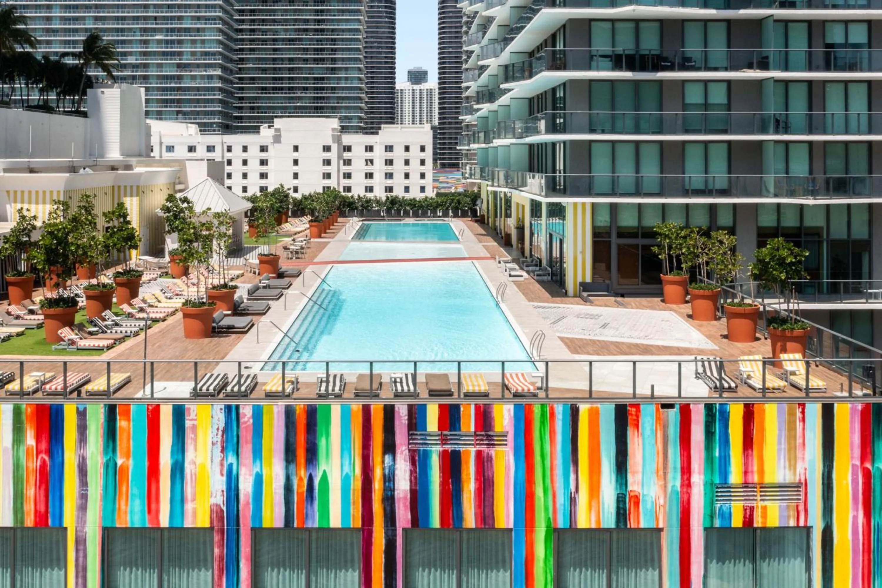 Swimming pool in Dua Miami, Autograph Collection