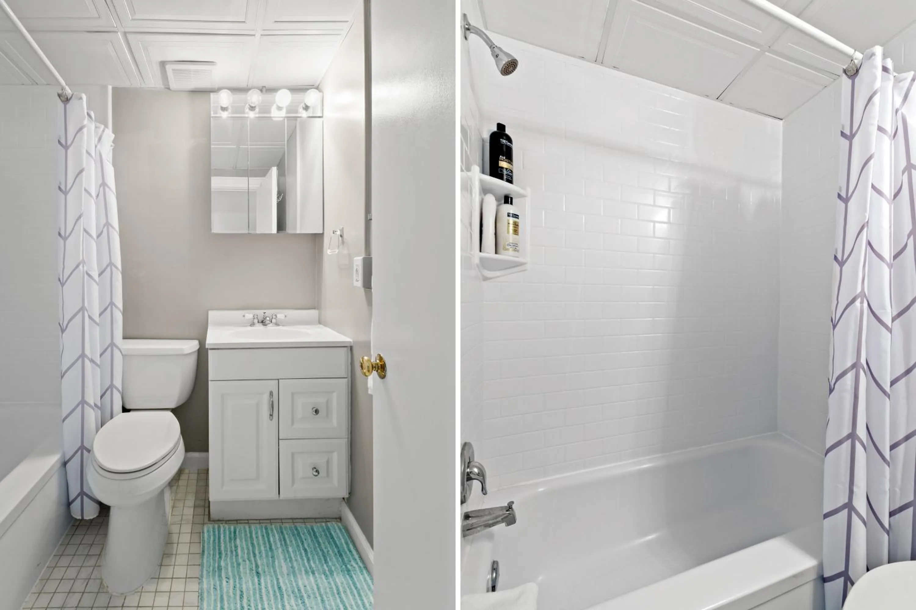 Tropicals of Palm Beach