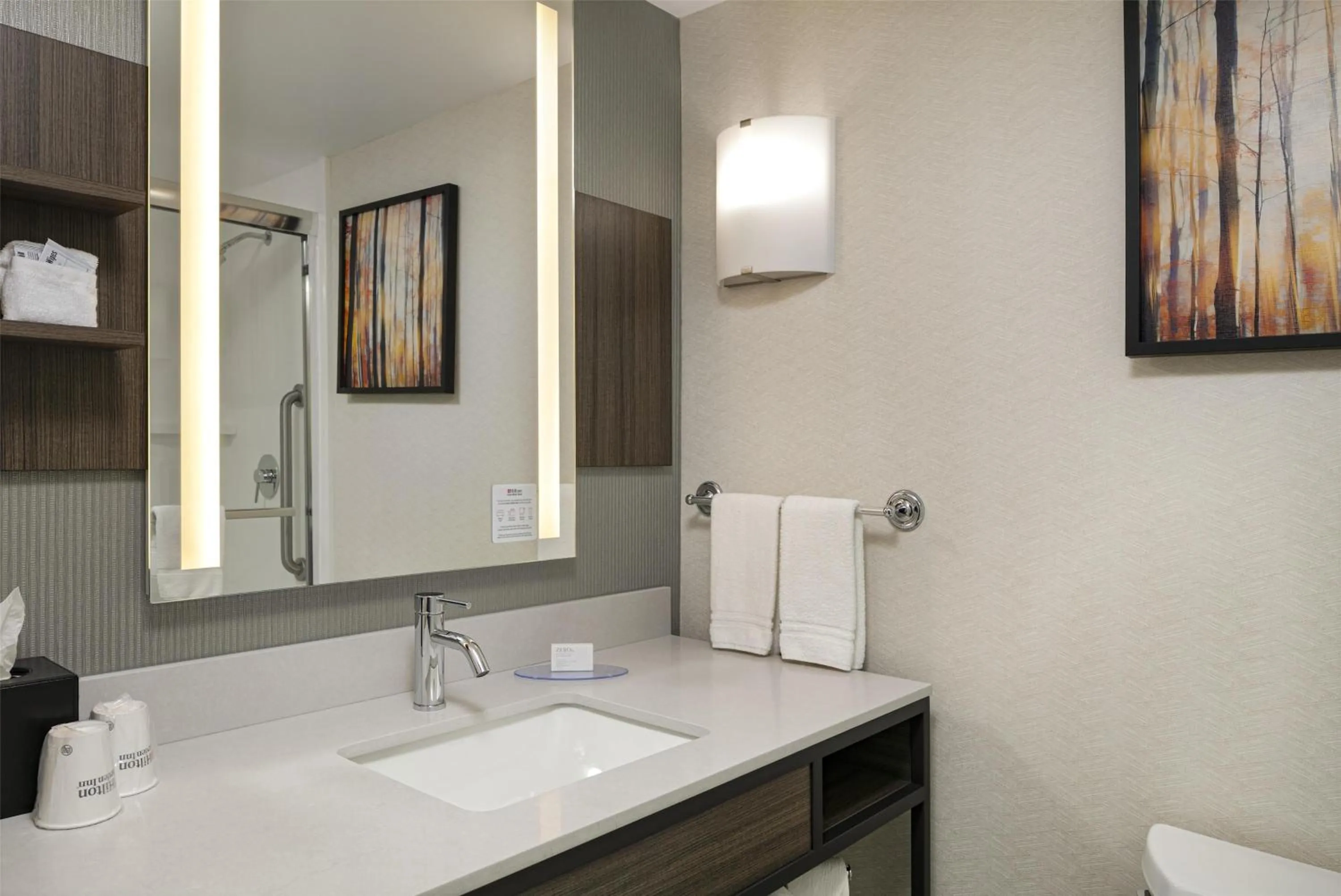 Bathroom in Hilton Garden Inn Corvallis