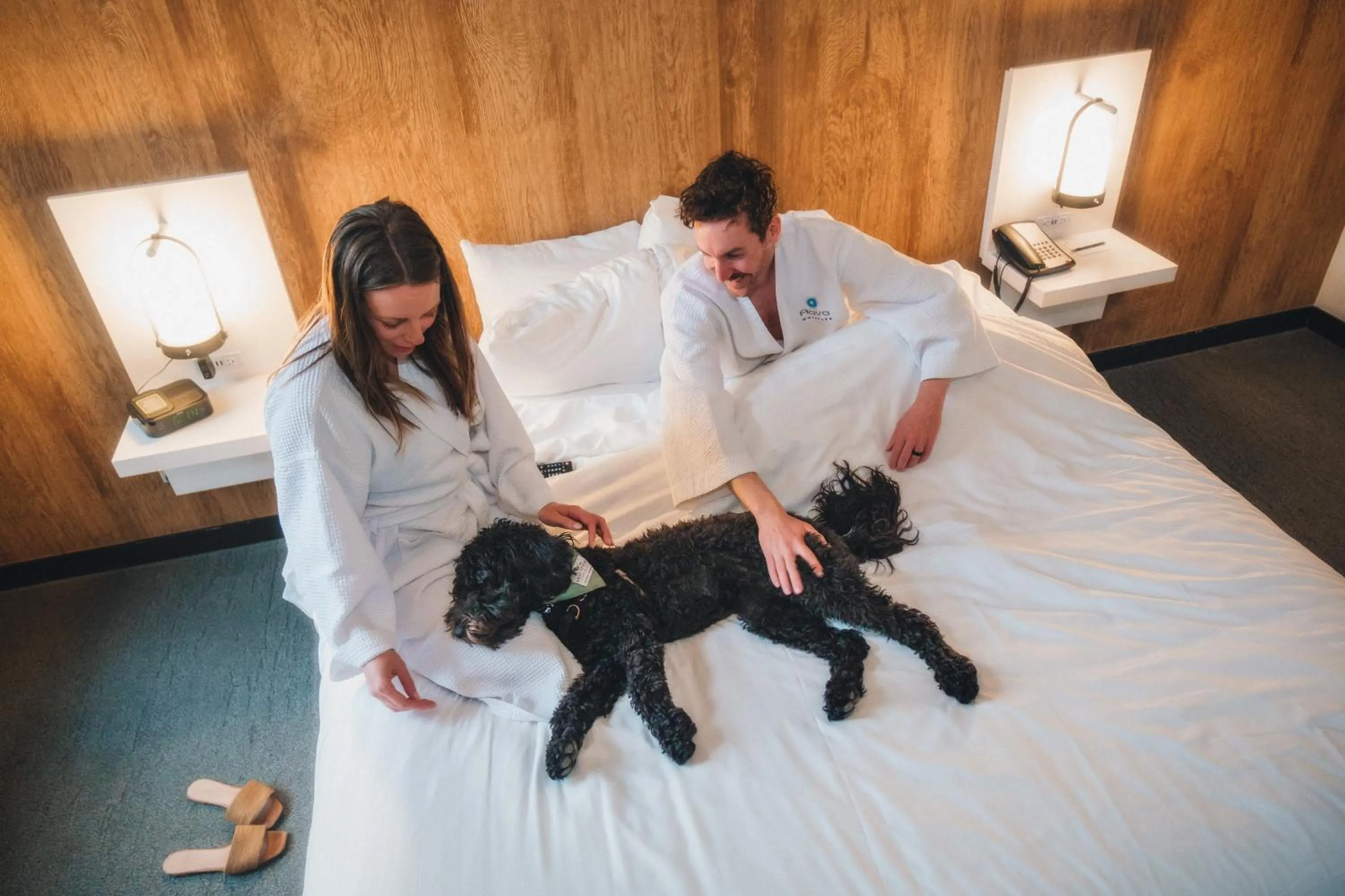 Pets, Bed in Aava Whistler Hotel