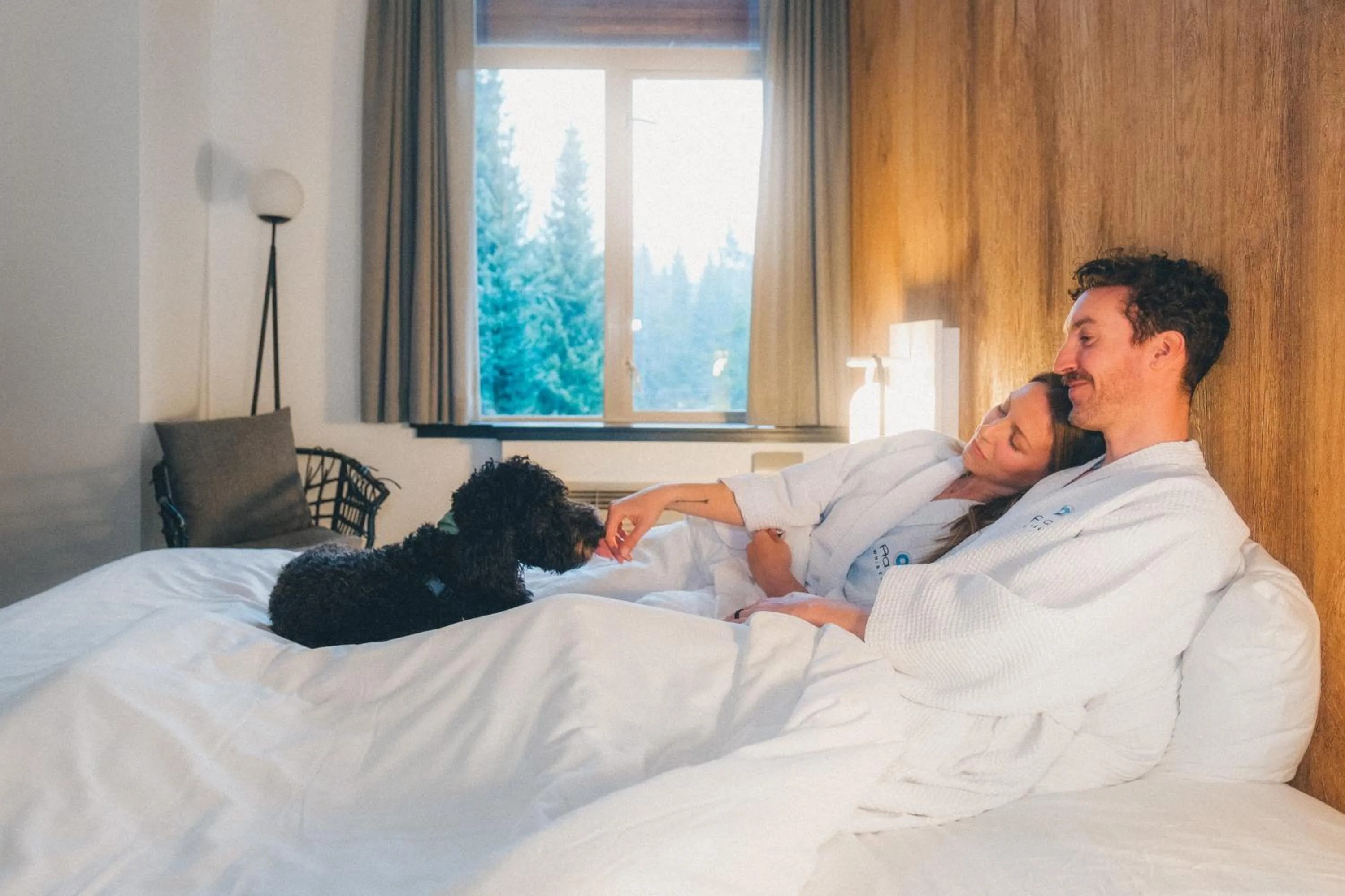 Pets, Bed in Aava Whistler Hotel