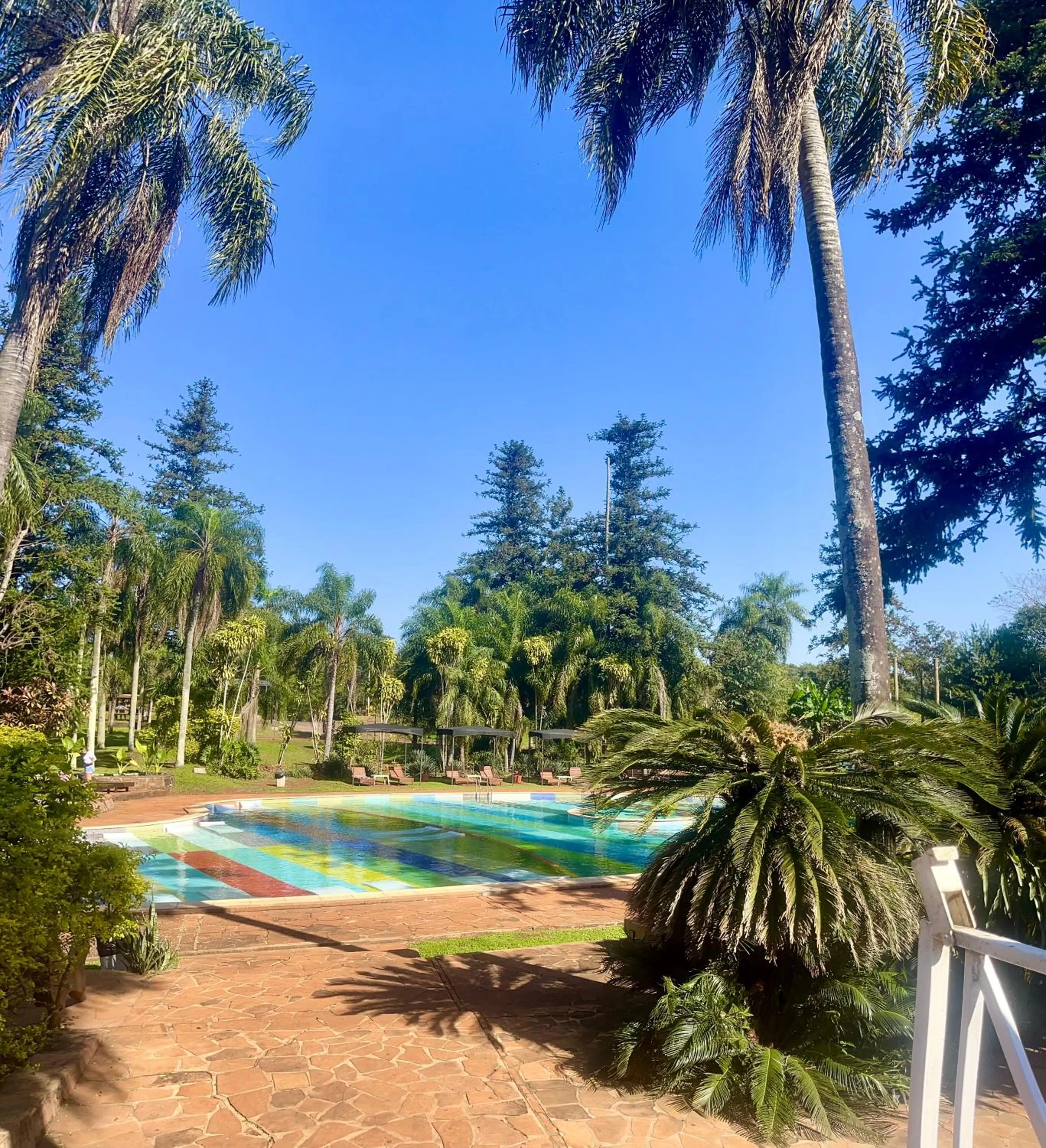 Spring in Beer Hotel Iguazú