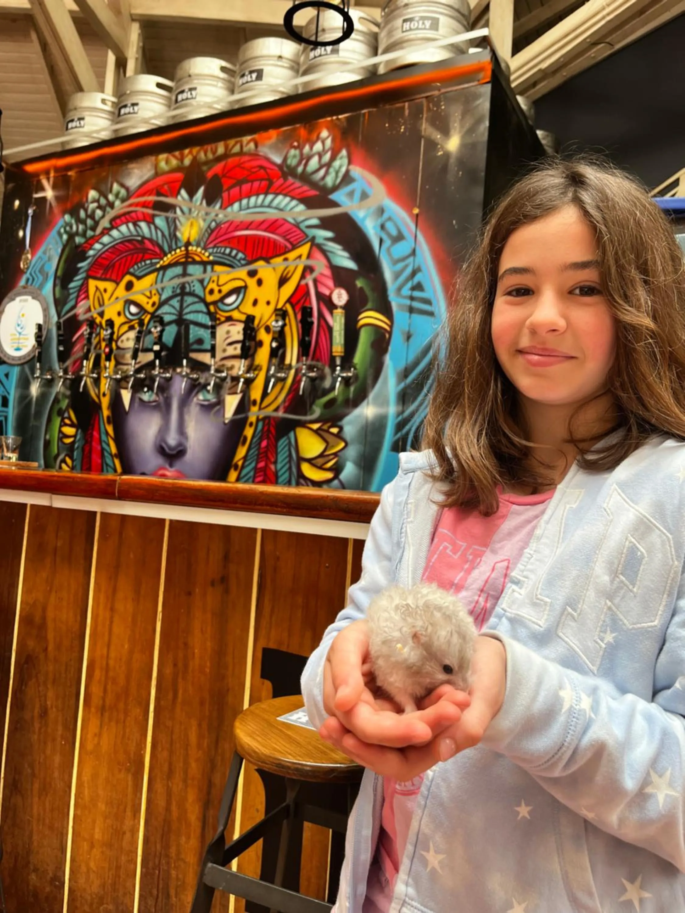 Lobby or reception in Beer Hotel Iguazú