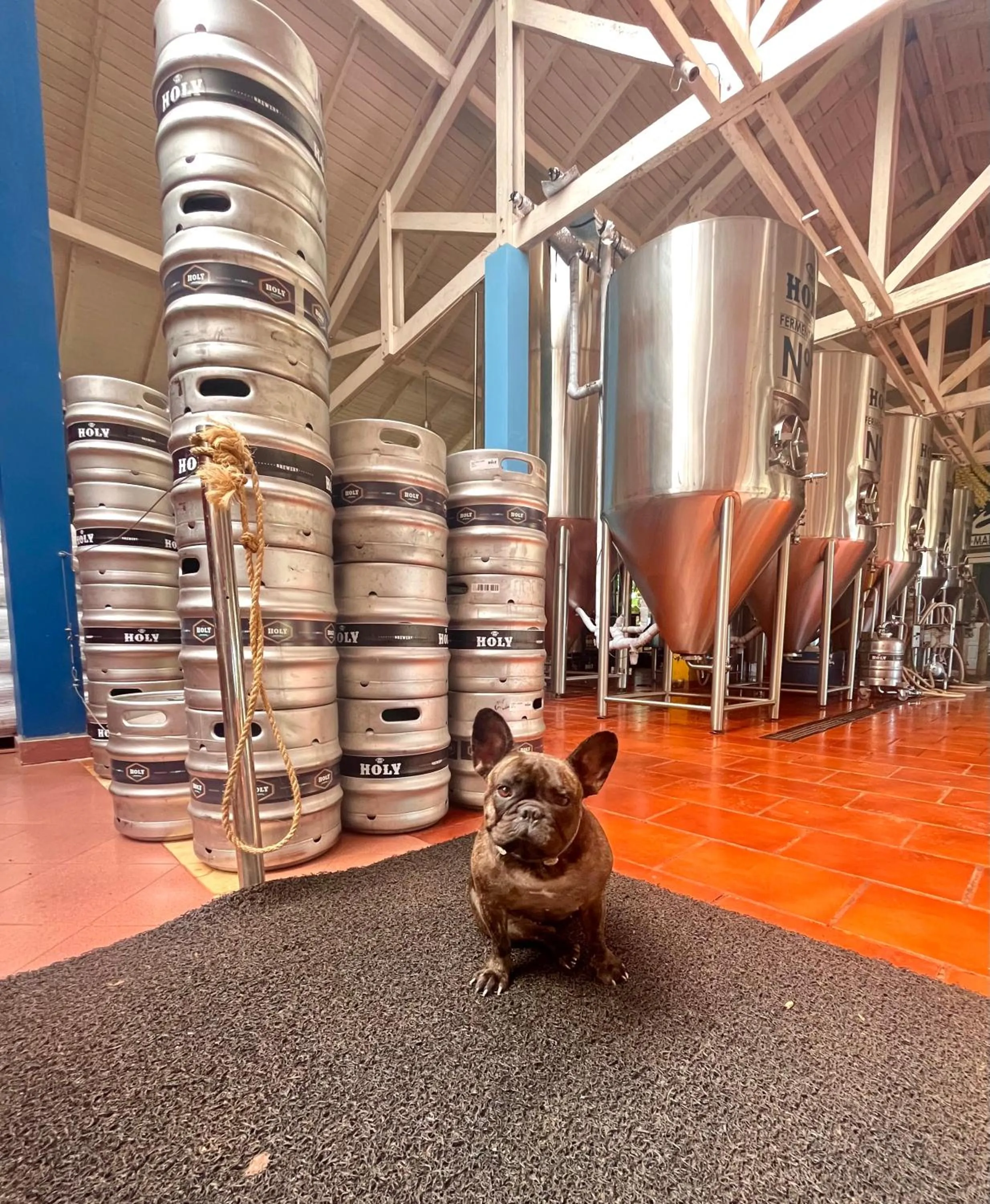 Property building in Beer Hotel Iguazú