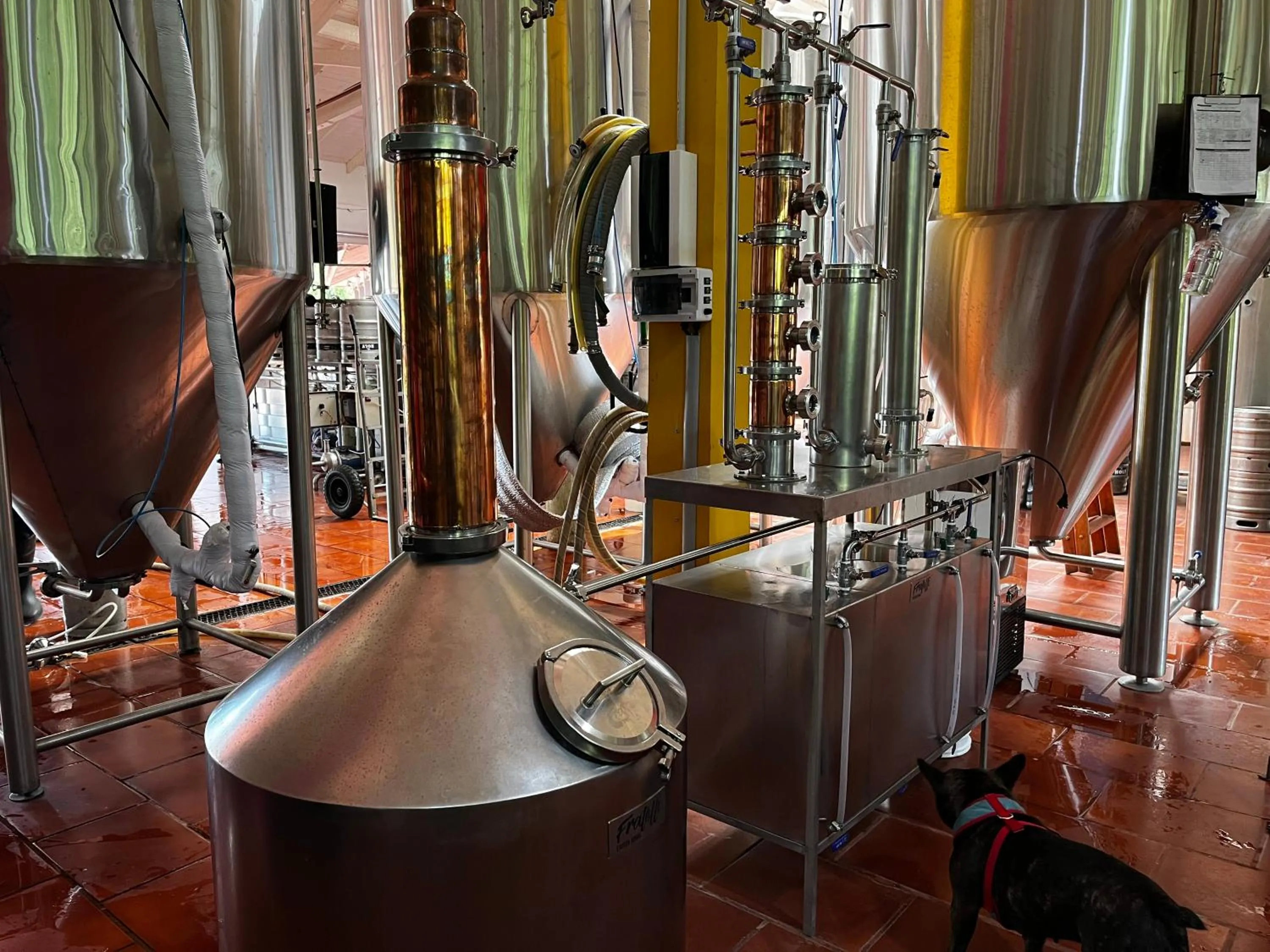 Lounge or bar in Beer Hotel Iguazú