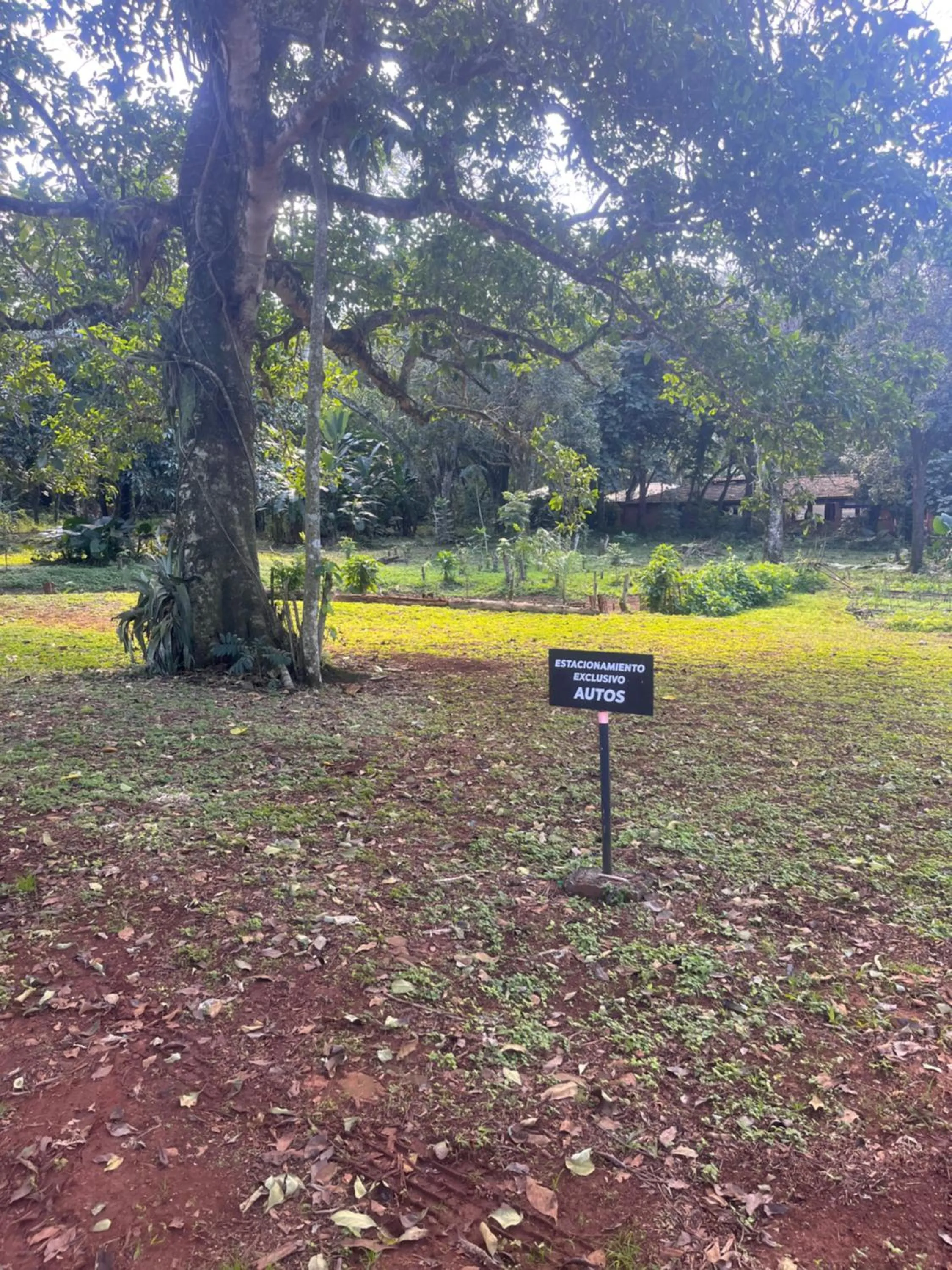 Spring in Beer Hotel Iguazú