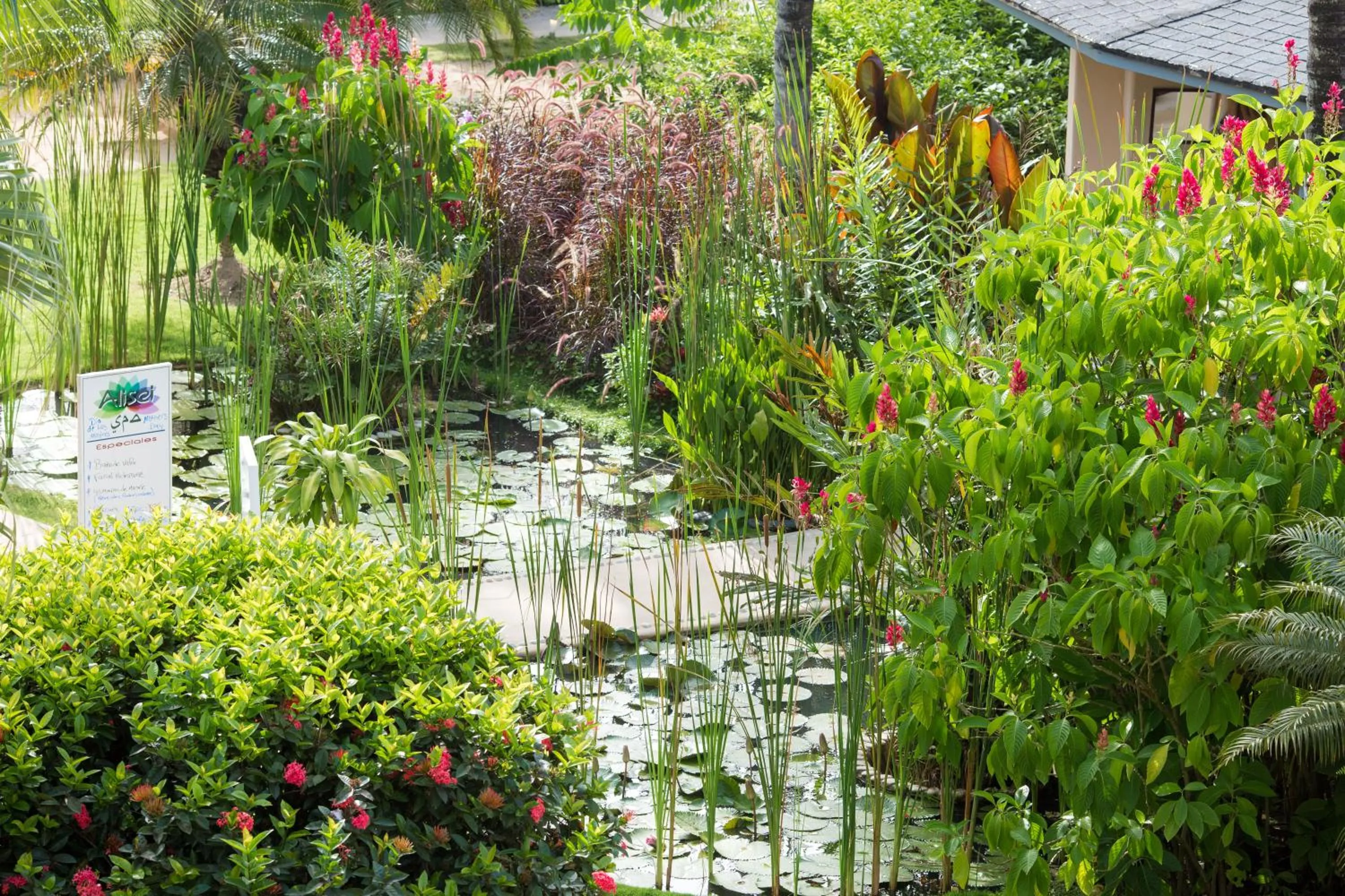 Garden in Hotel Alisei
