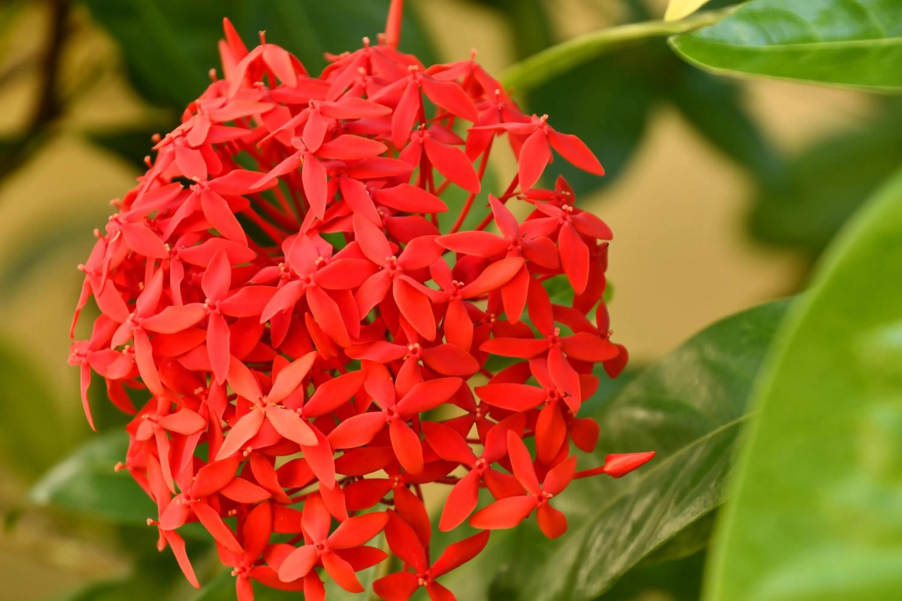 Natural landscape in Hotel Alisei
