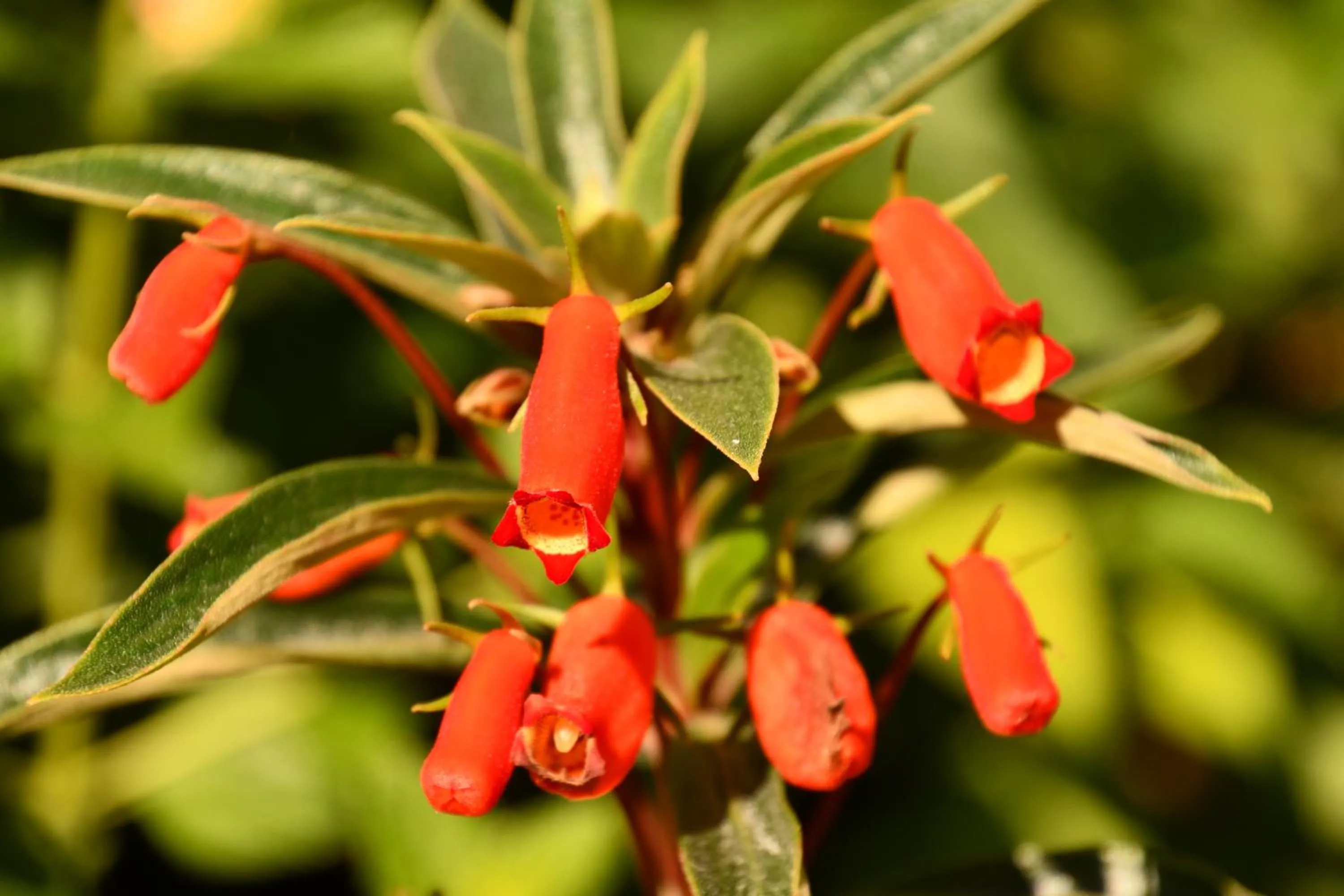 Natural landscape in Hotel Alisei