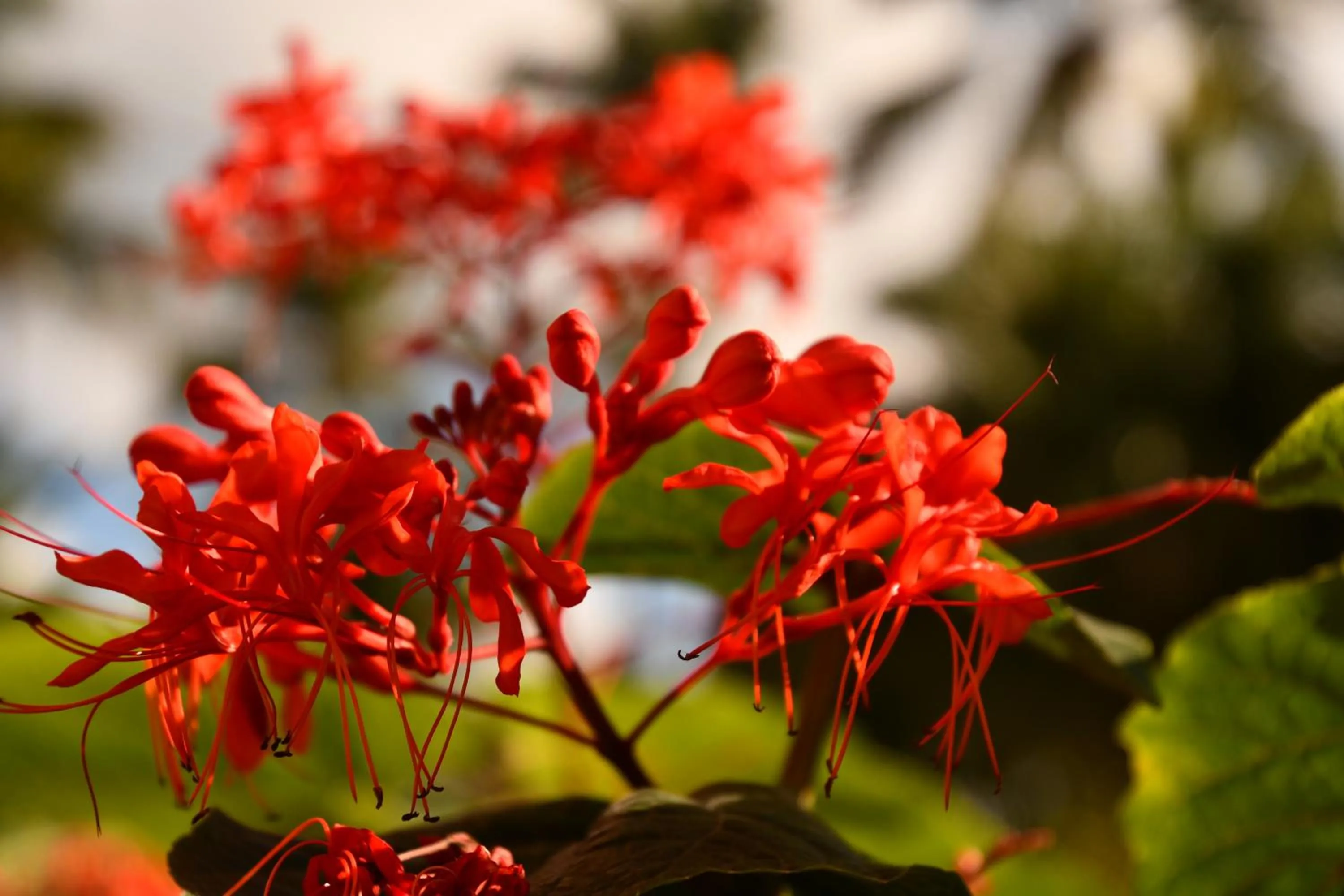 Natural landscape in Hotel Alisei