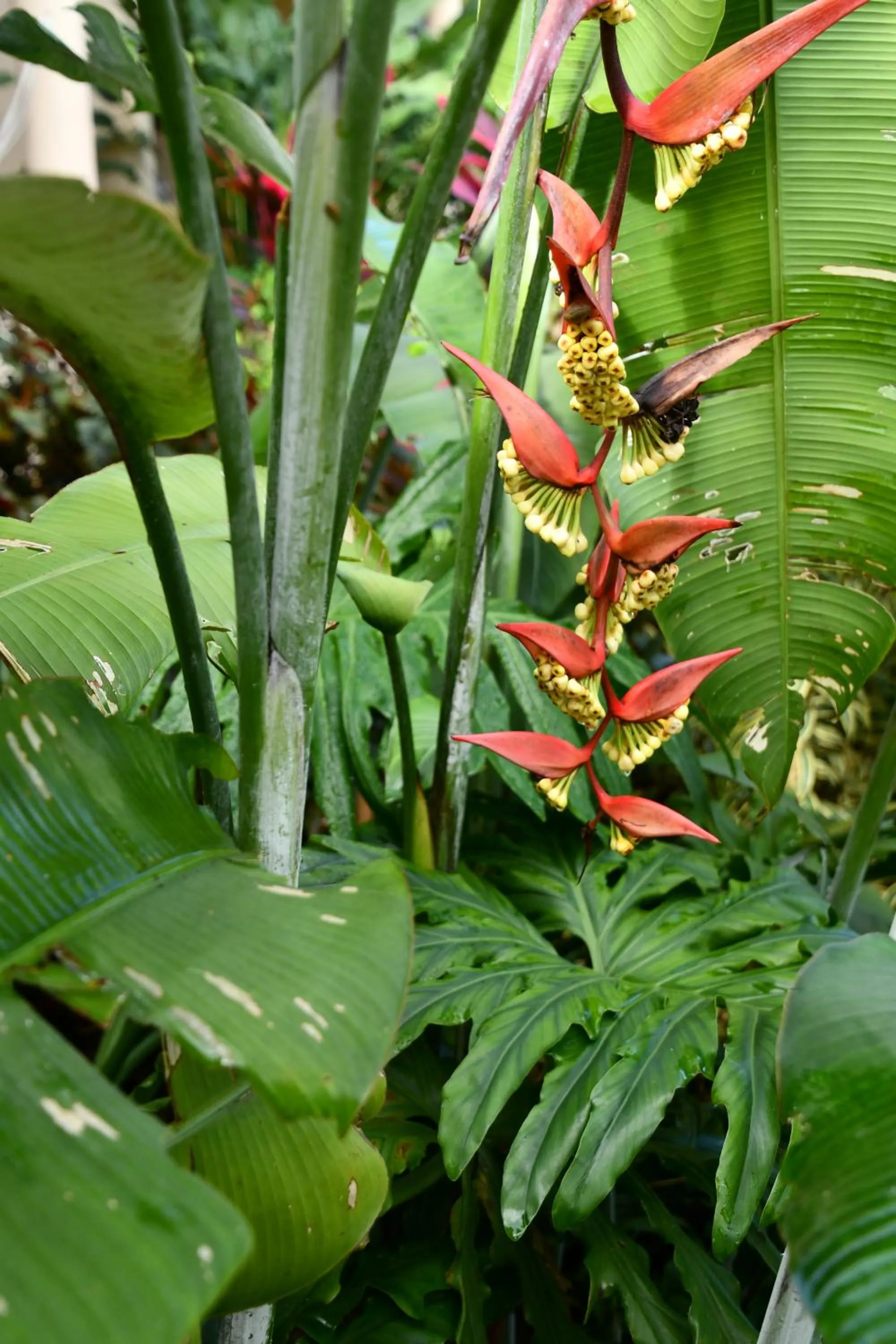 Natural landscape in Hotel Alisei