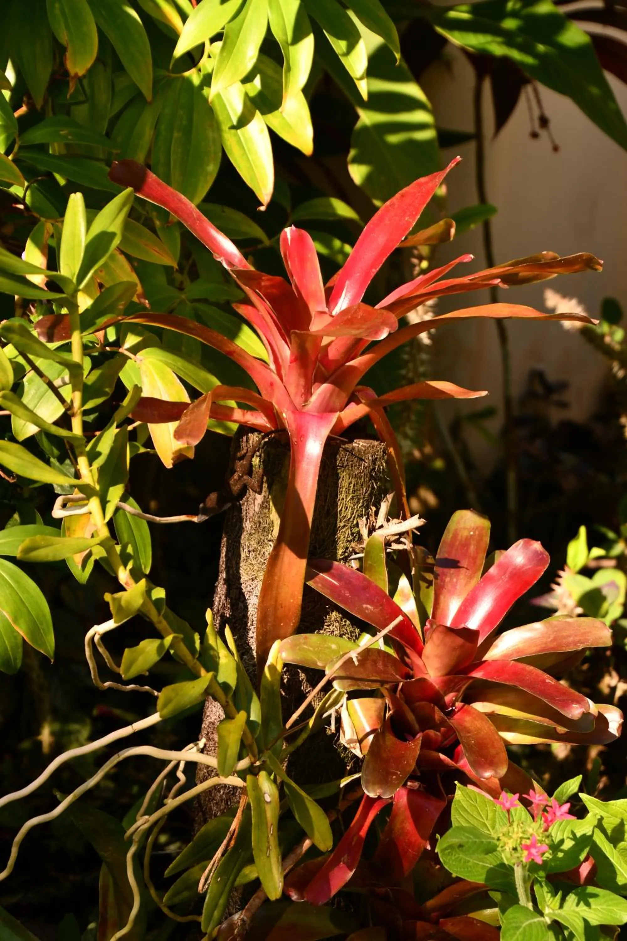 Natural landscape in Hotel Alisei