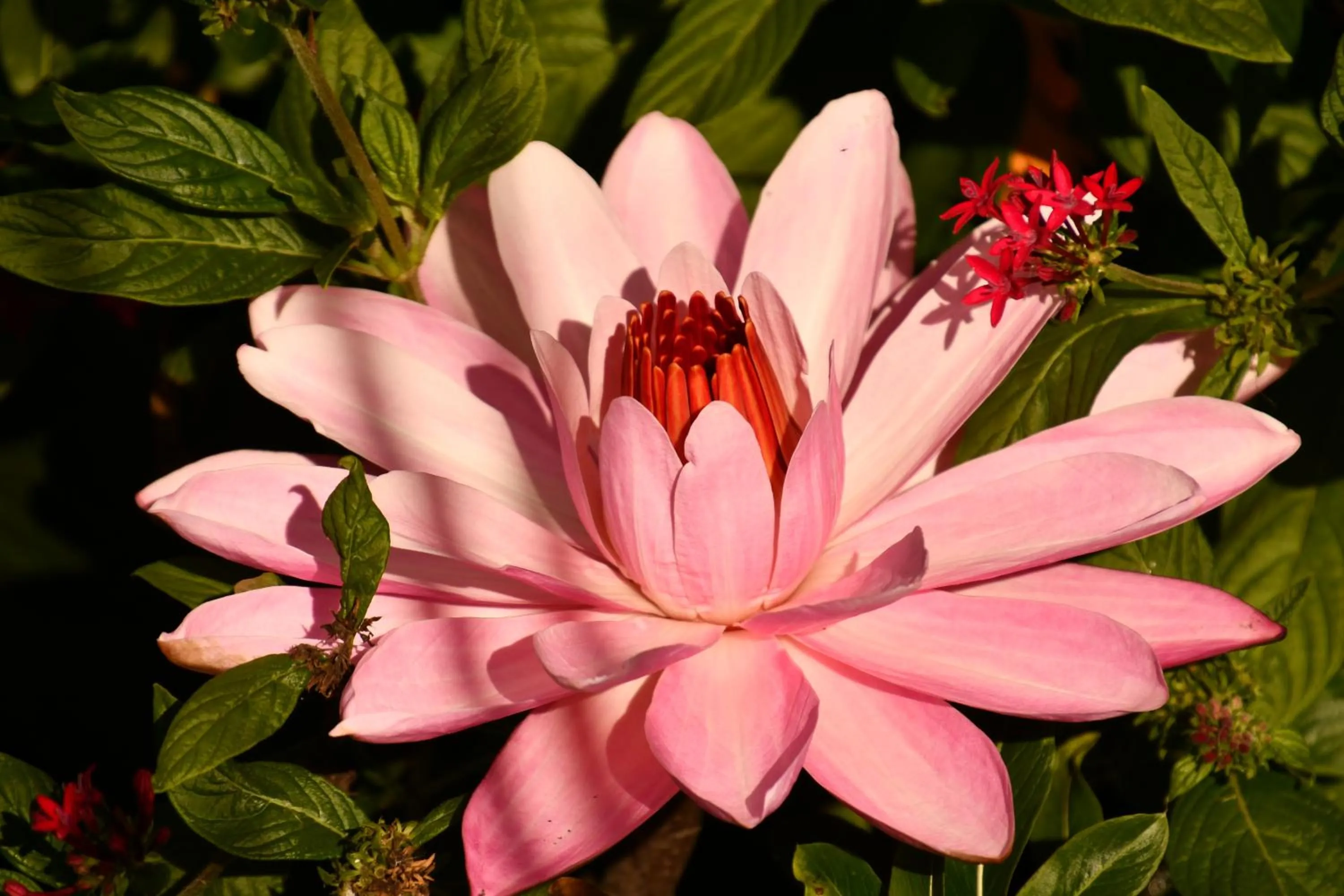 Natural landscape in Hotel Alisei