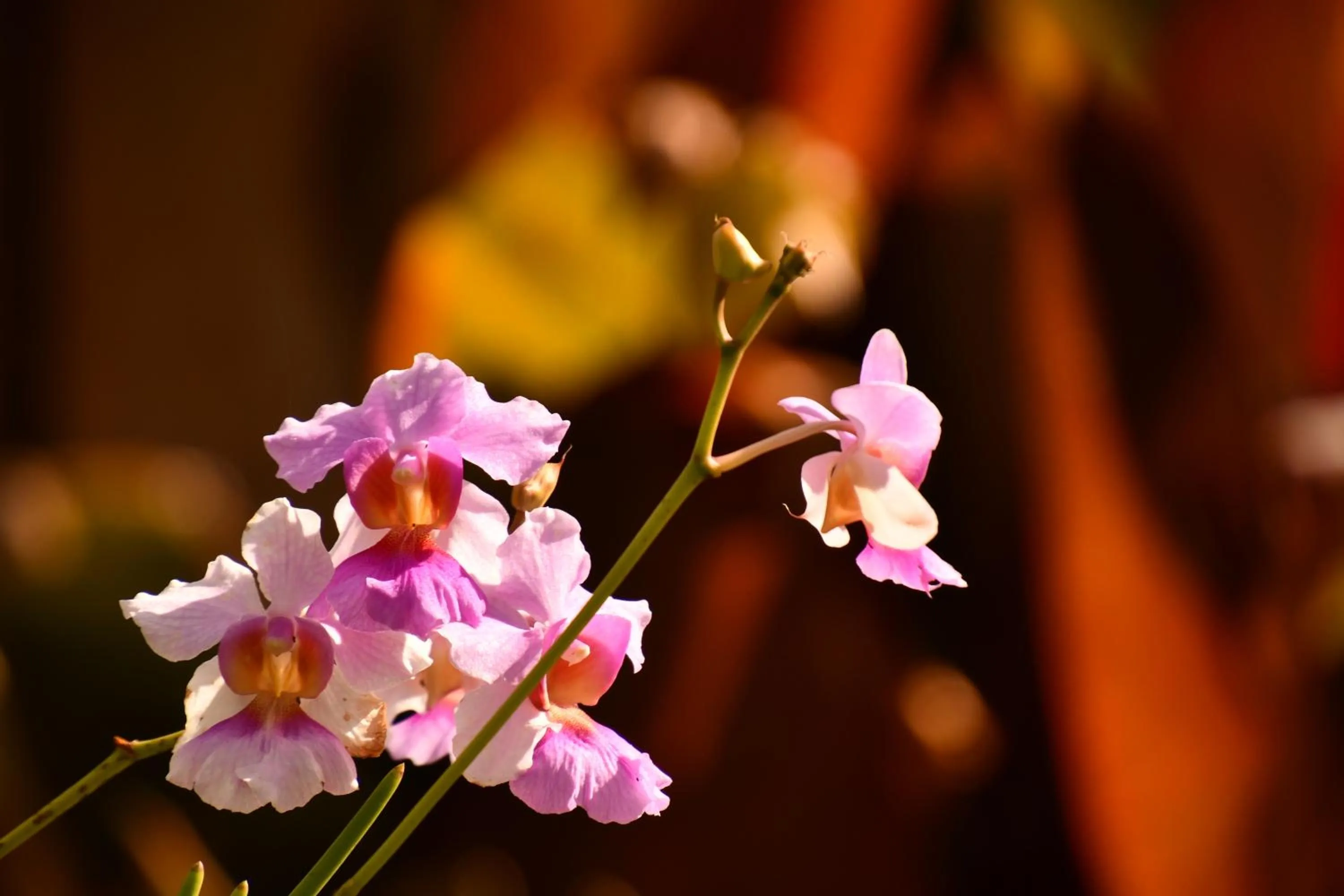 Natural landscape in Hotel Alisei