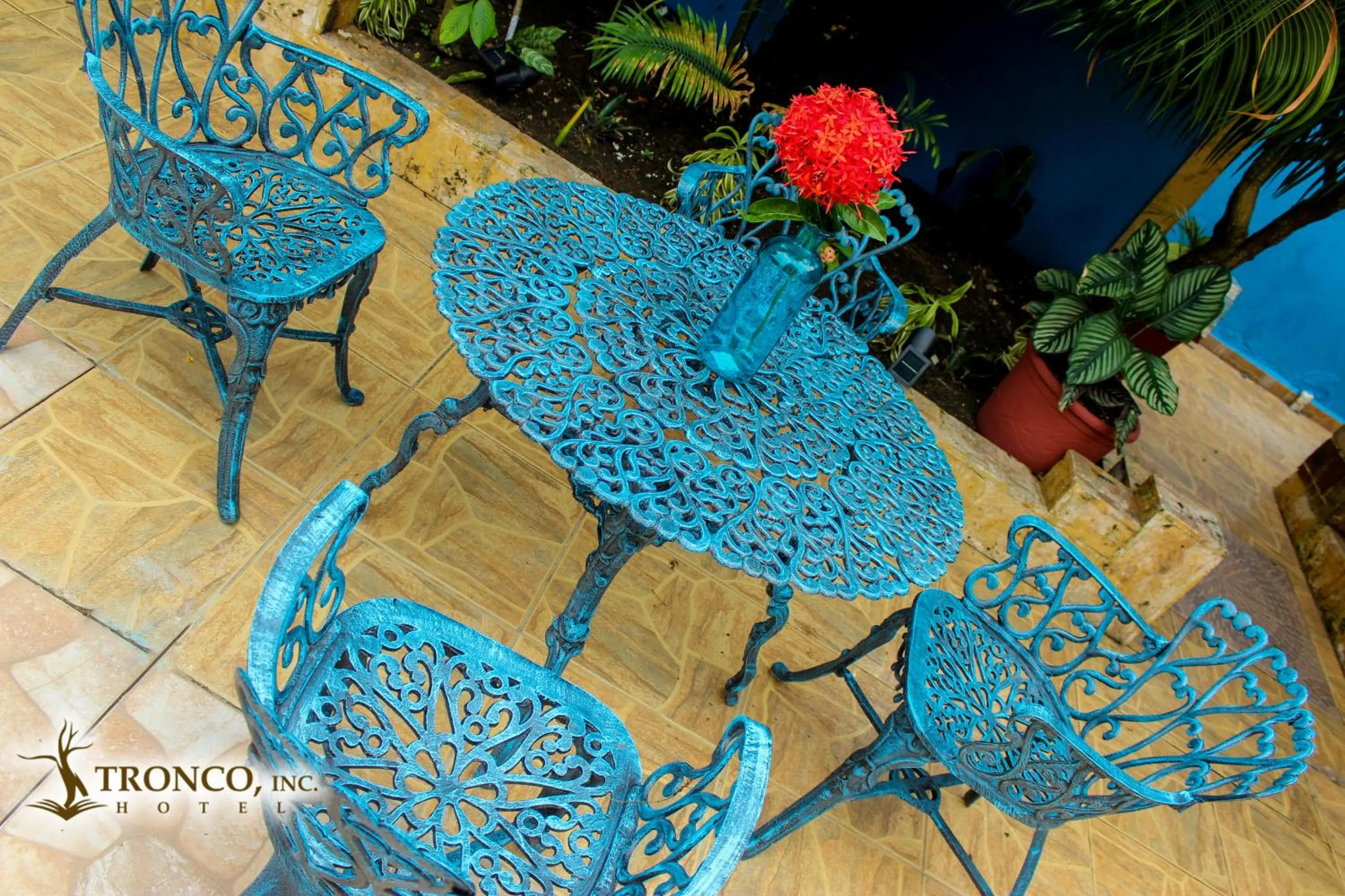 Patio in Hotel El Tronco Inc