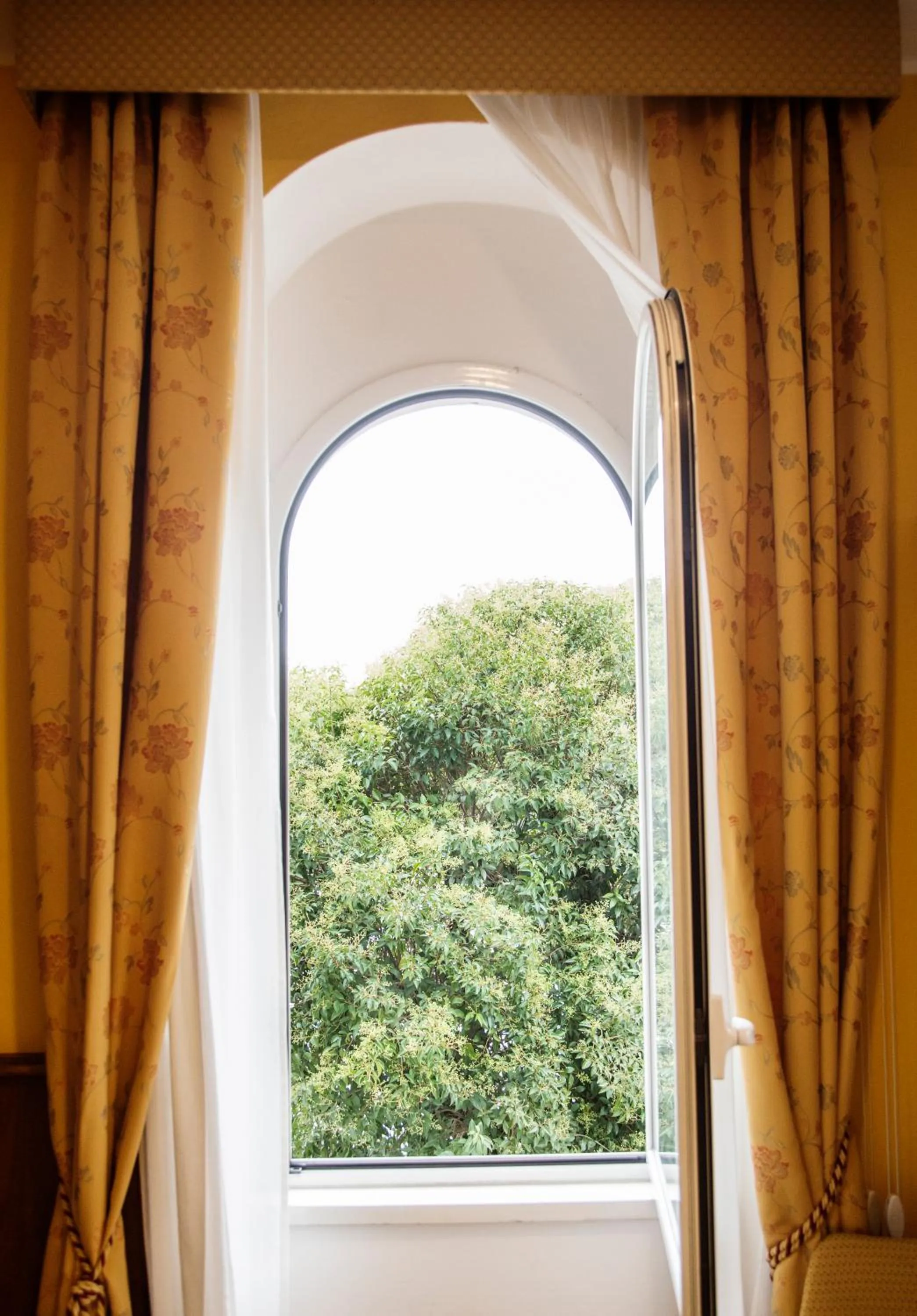 View (from property/room) in Hotel Due Palme