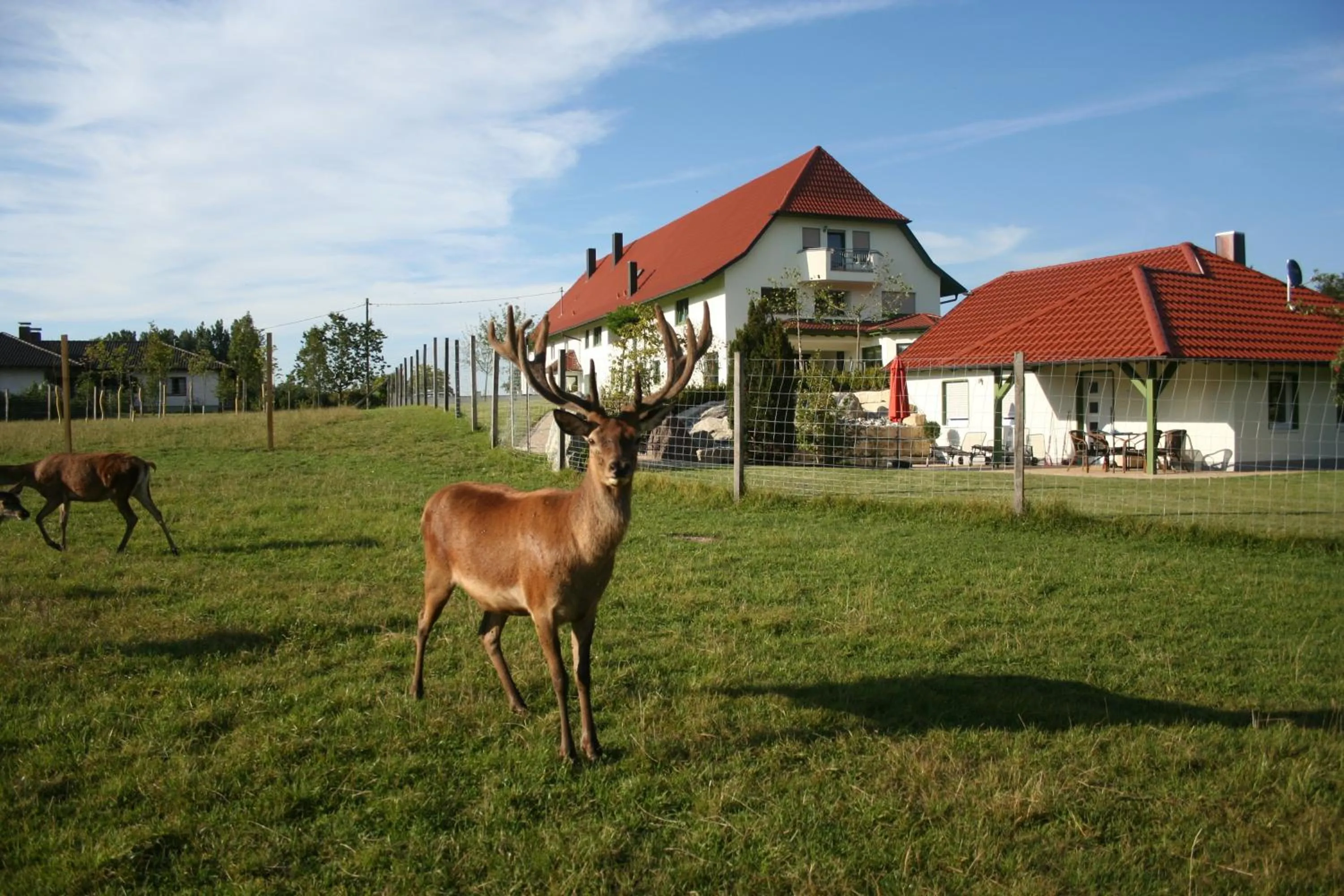 Spring in Hotel Hofgut Tiergarten