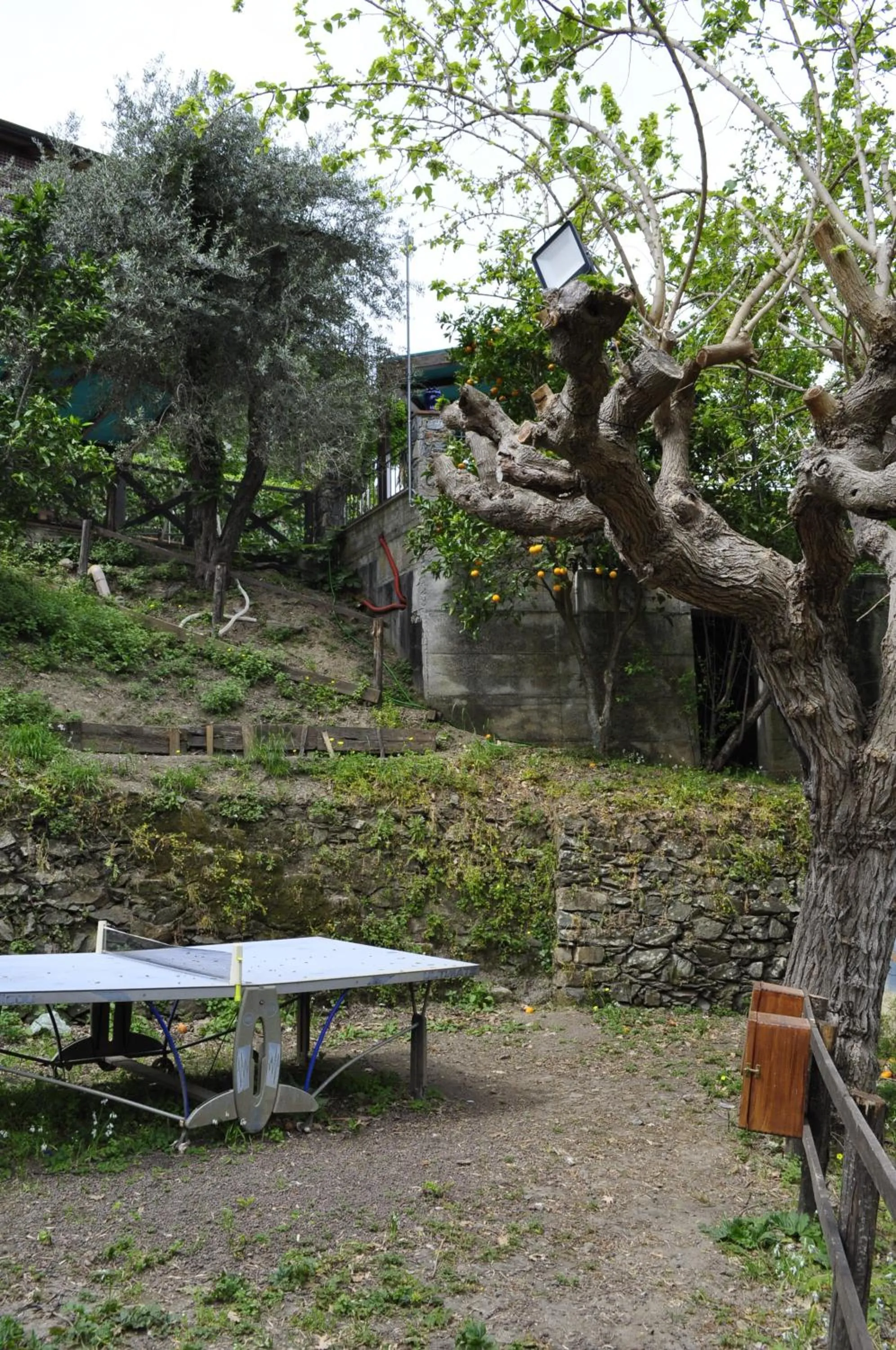 Table tennis in Borgo San Francesco