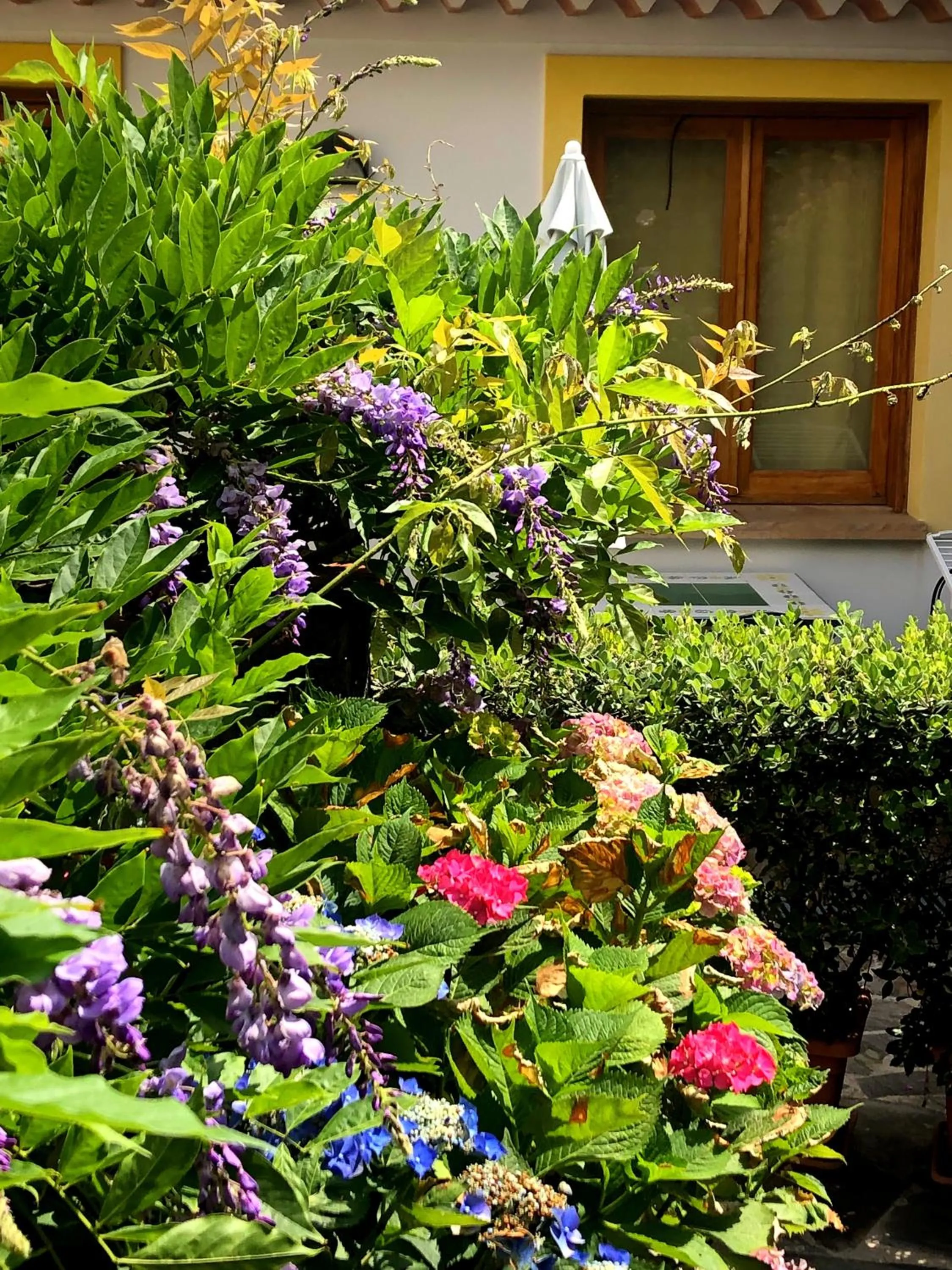 Garden in Borgo San Francesco