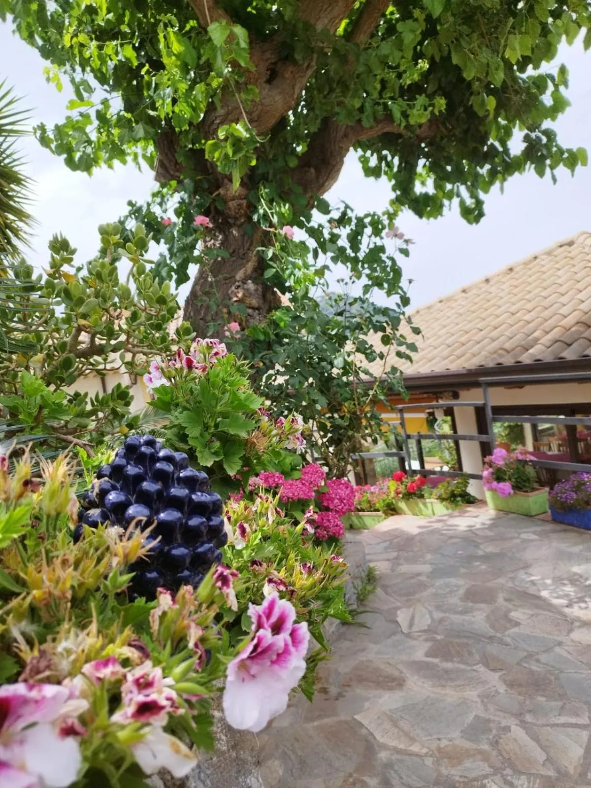 Property building in Borgo San Francesco