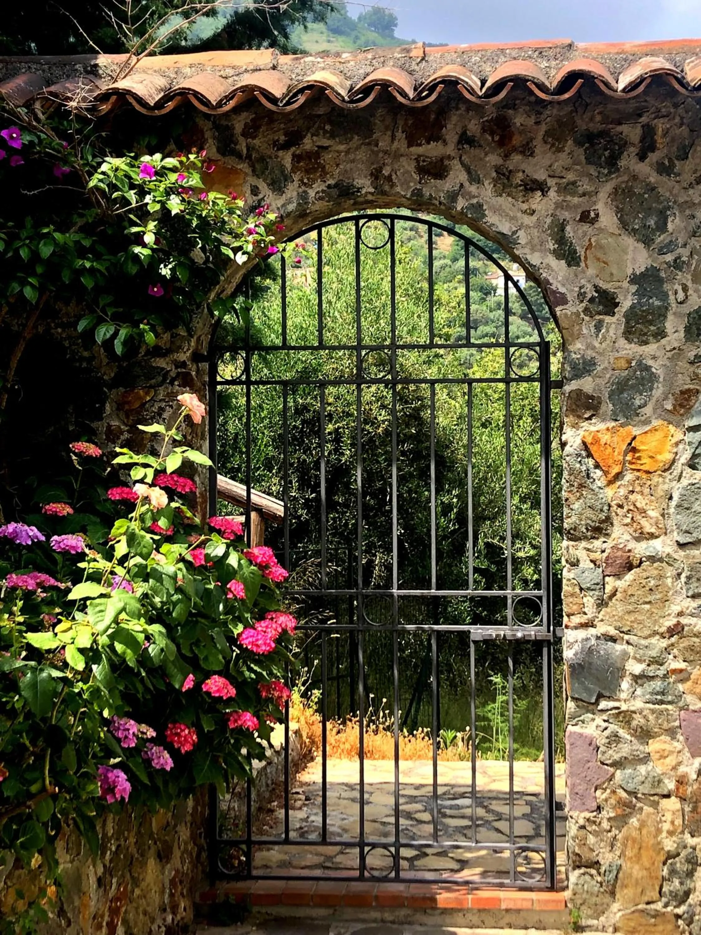Garden in Borgo San Francesco