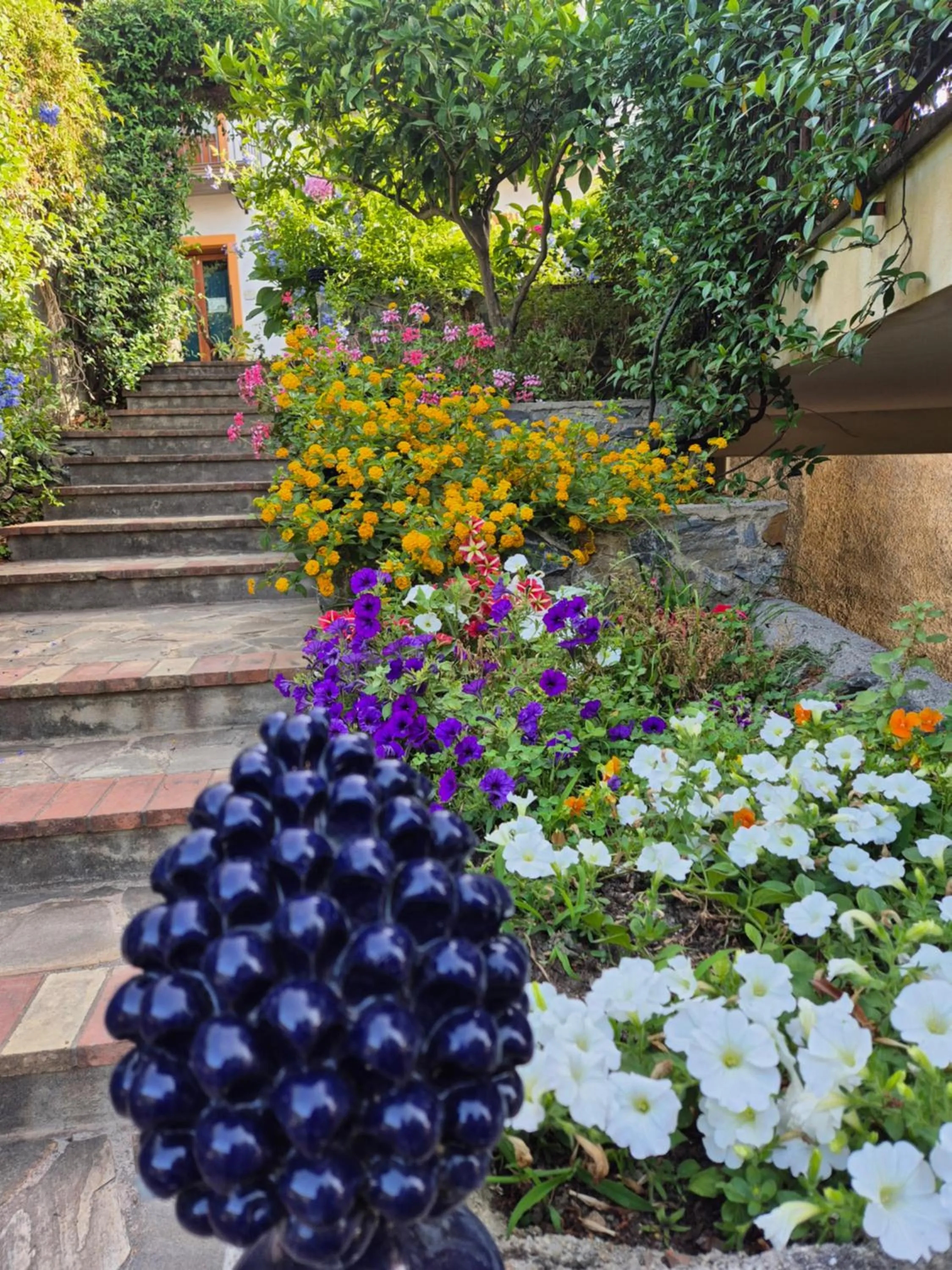 Garden in Borgo San Francesco