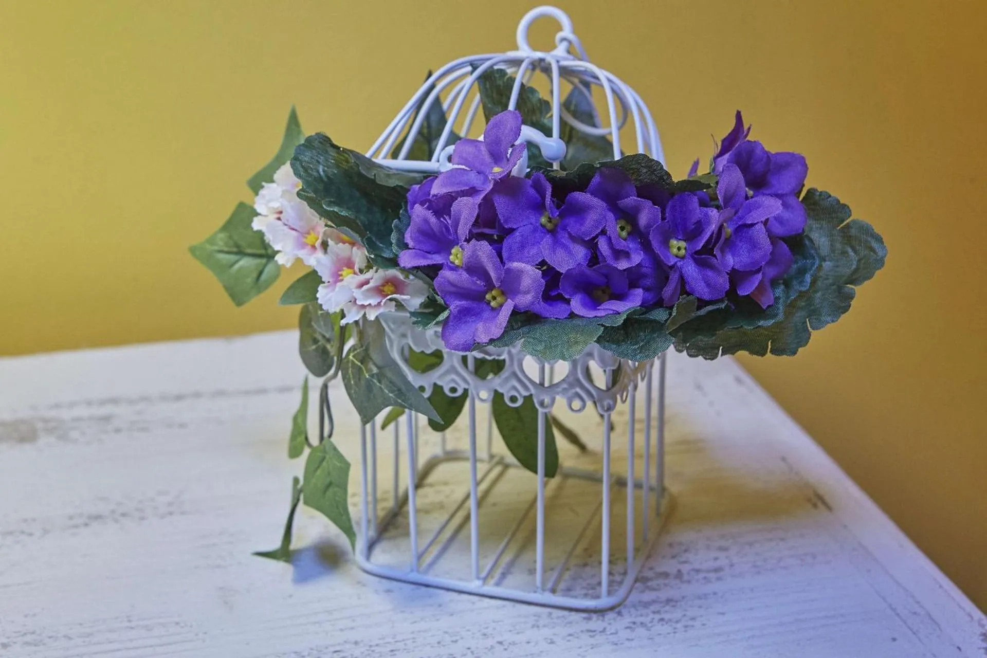 Other in Locanda del Gagini