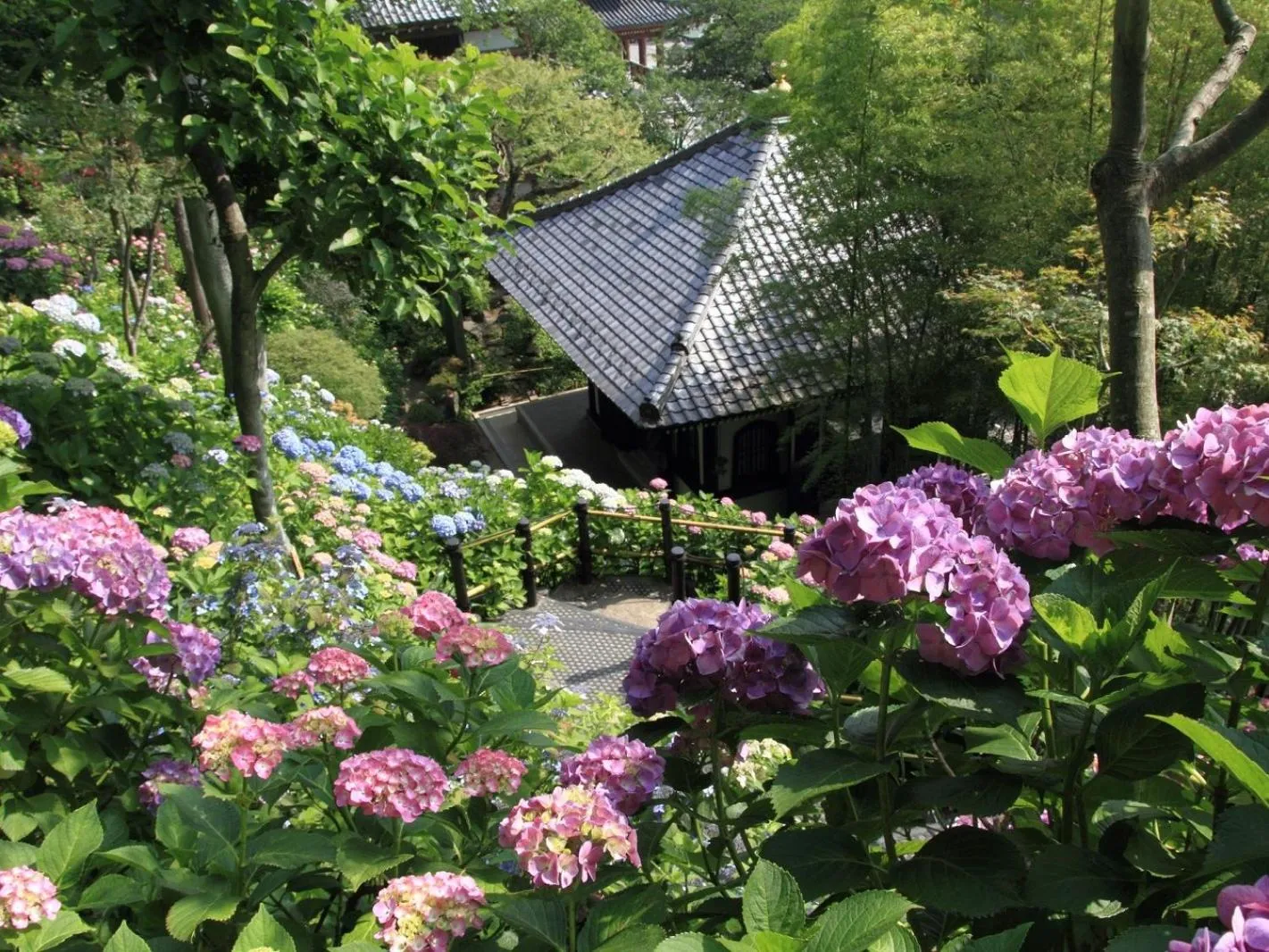 Nearby landmark in WeBase KAMAKURA