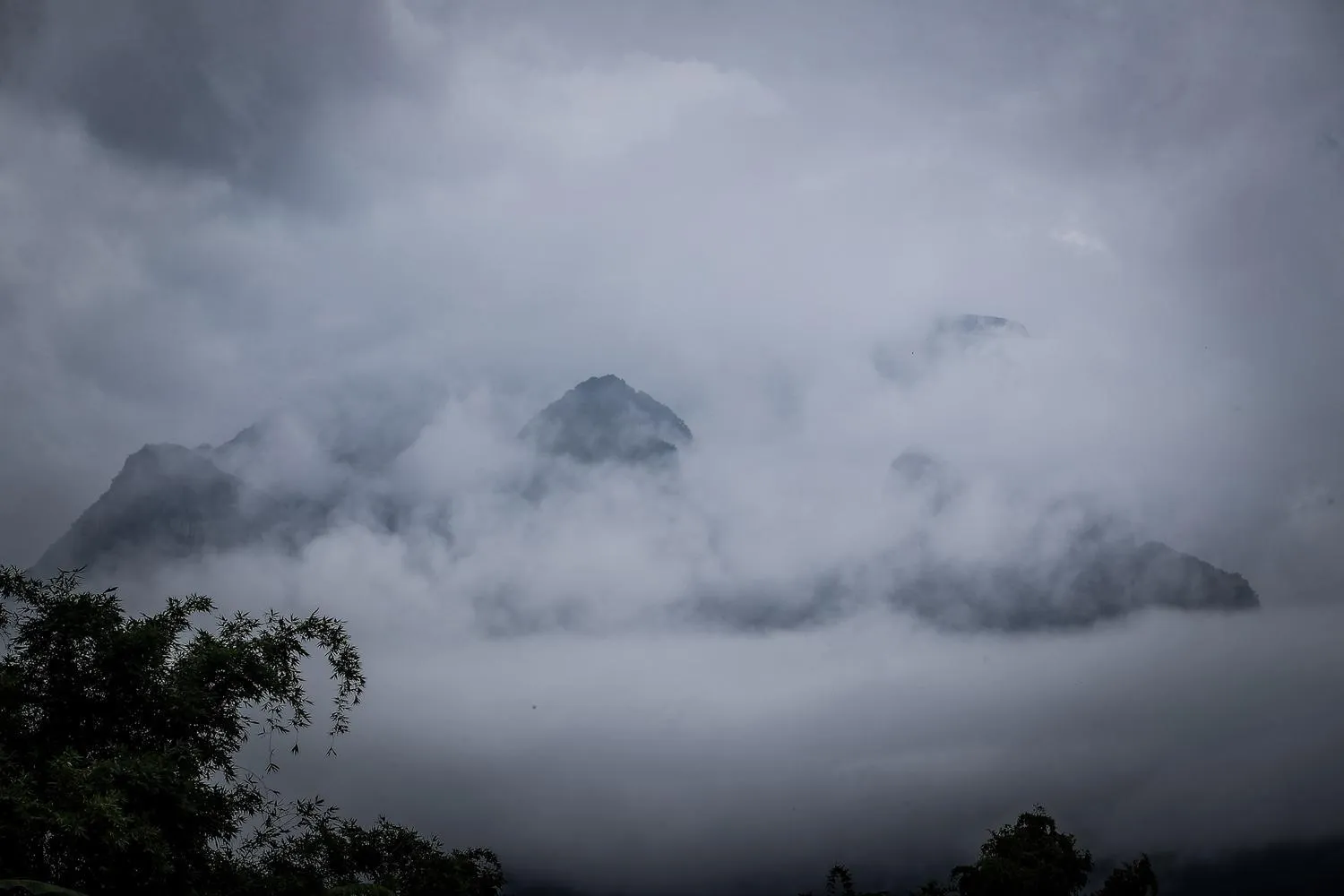 Area and facilities in Azalea Village