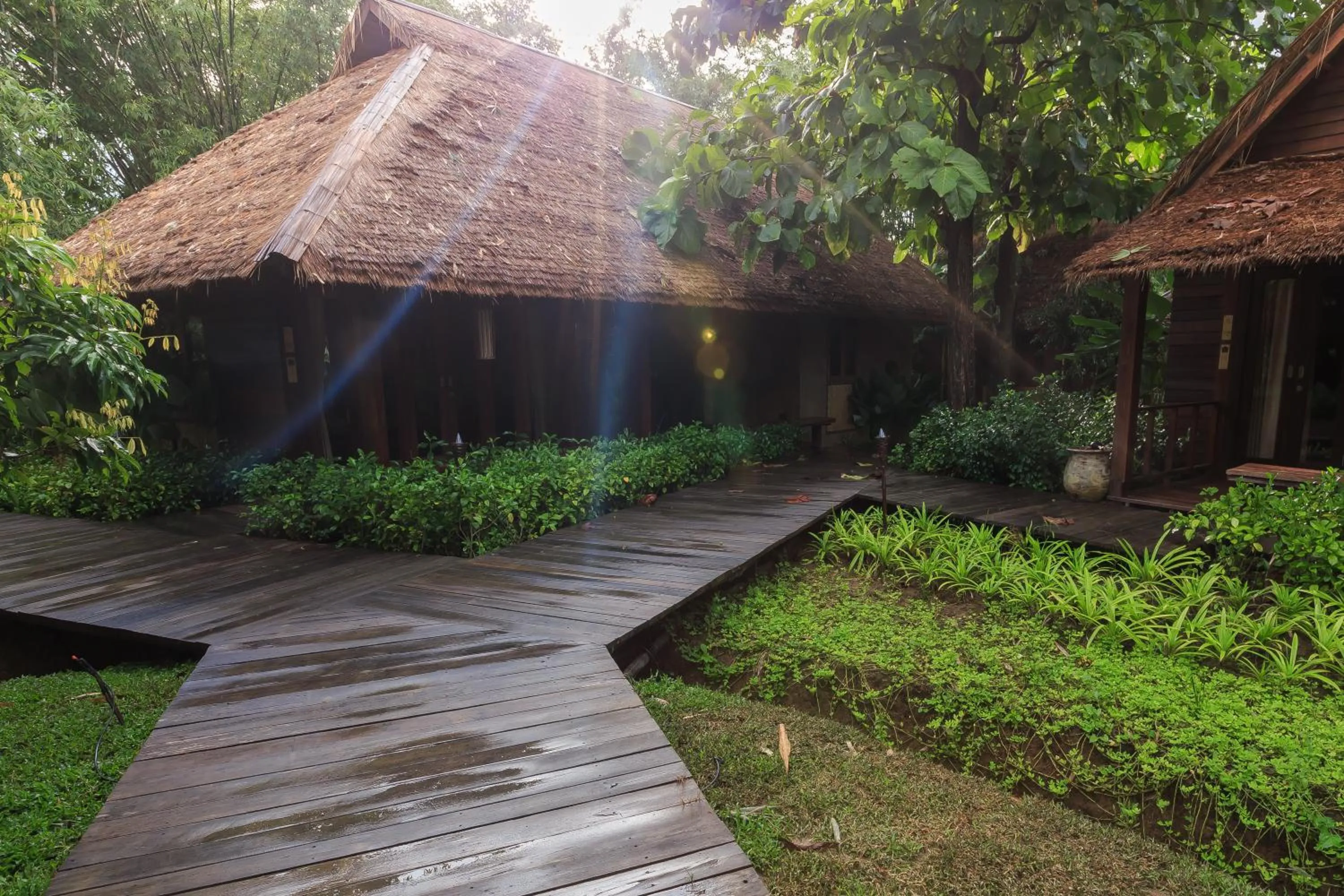 Day in Azalea Village