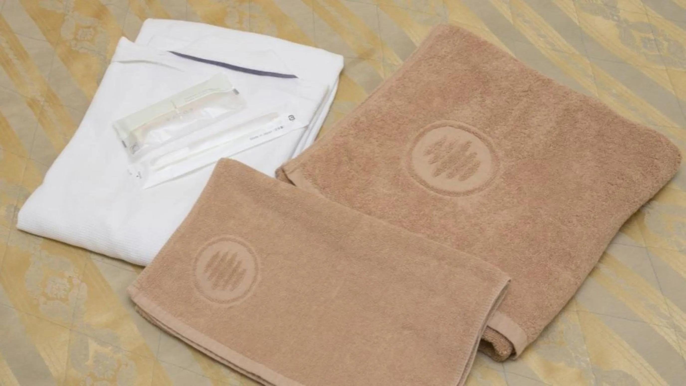 Area and facilities in Park Hotel Kani