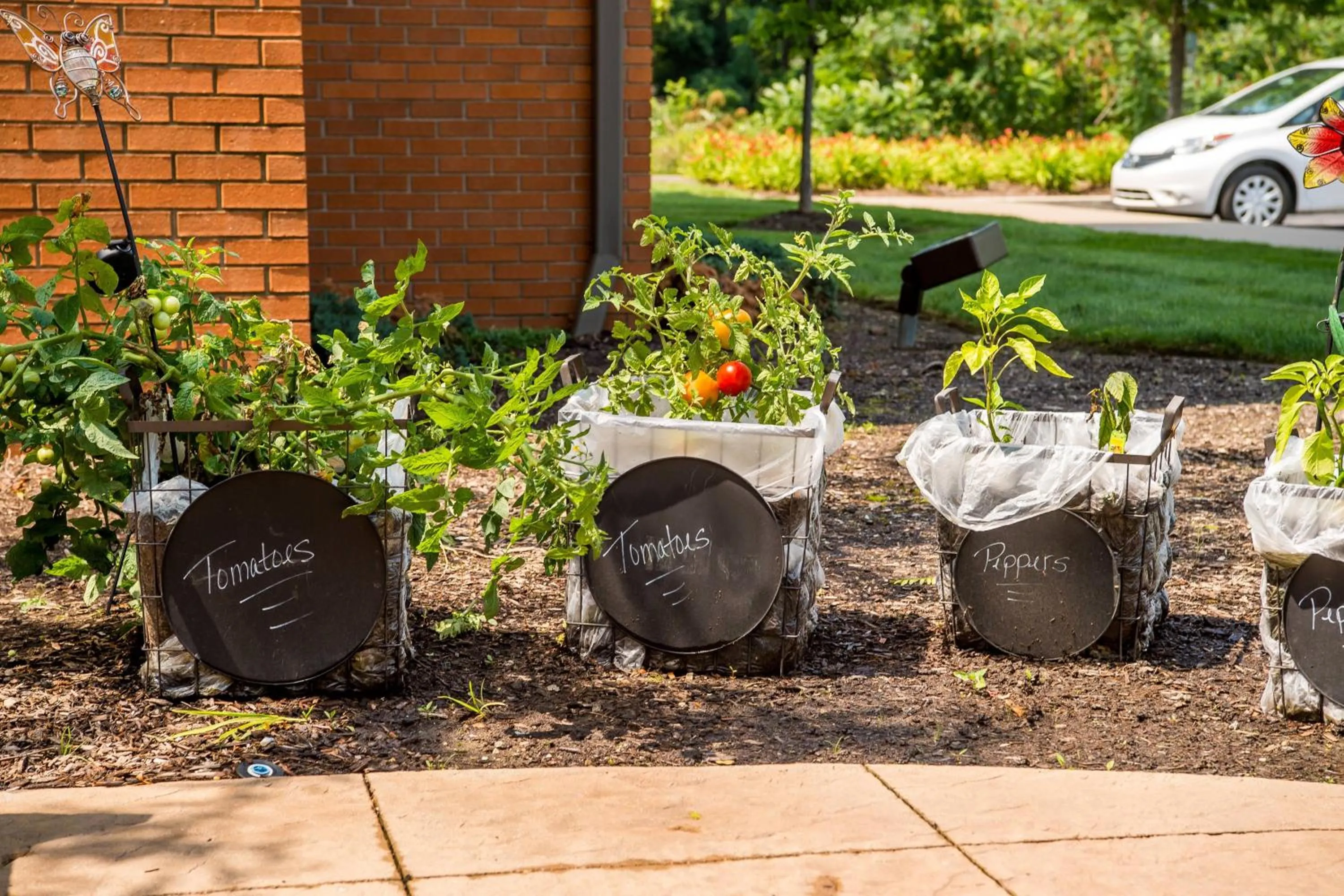 Other in TownePlace Suites by Marriott Erie