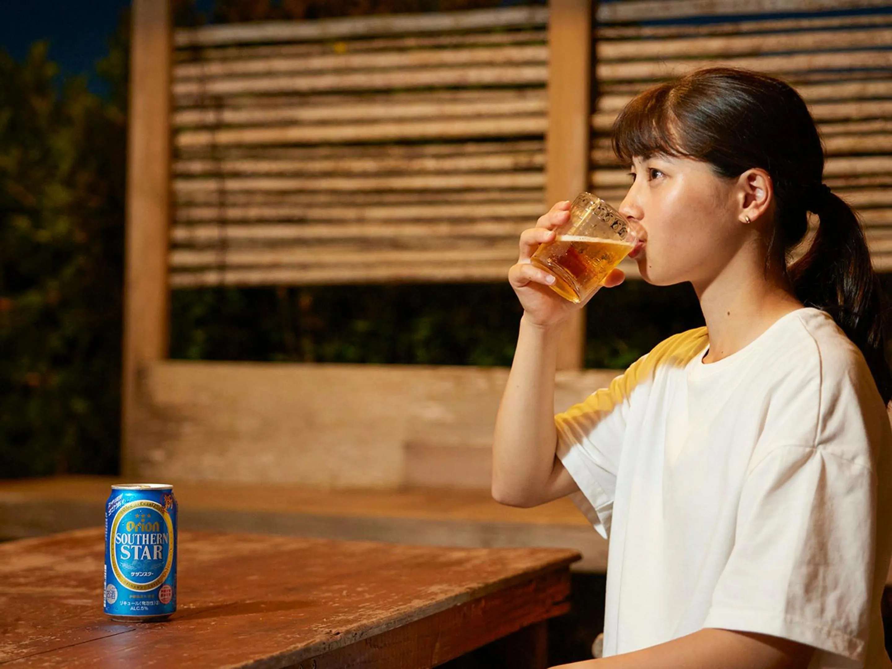 Meals in Pension Snadun