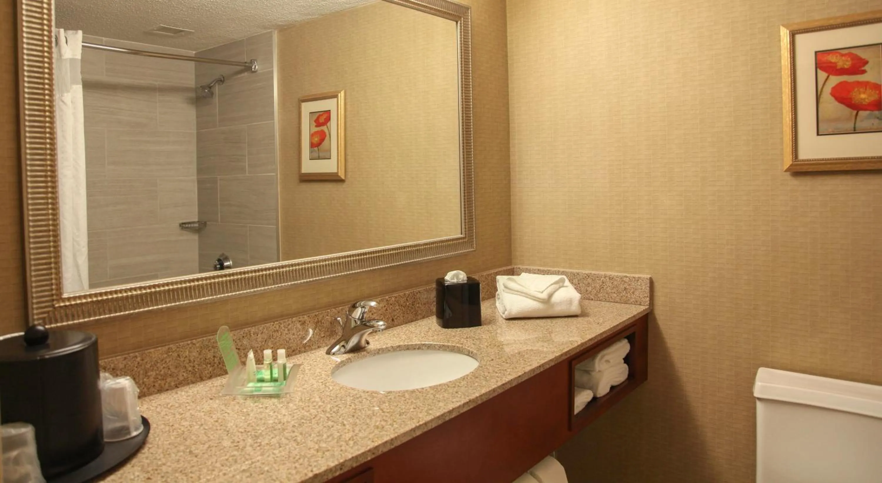 Bathroom in DoubleTree by Hilton Dayton Fairborn
