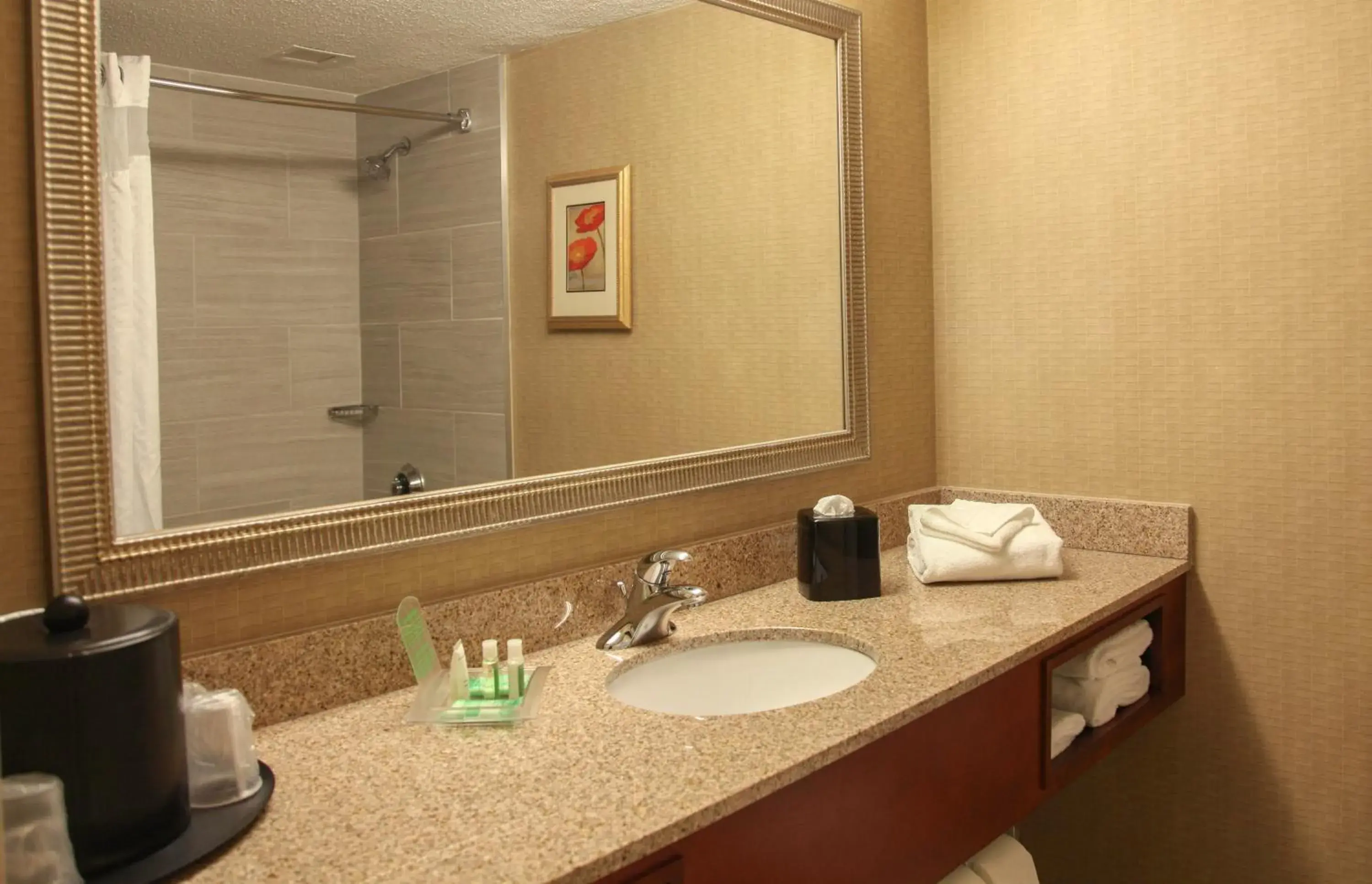 King Suite in Holiday Inn Dayton/Fairborn I-675, an IHG Hotel King Suite in Holiday Inn Dayton/Fairborn I-675, an IHG Hotel
